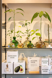 Acorn Vase Cosmic Astra