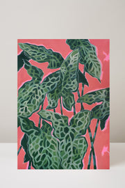 Arum Italicum Painting On Canvas By Daniel Quirke for the Royal Parks | Regents Park Collection