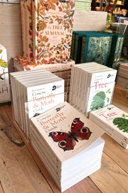 Concise Butterfly and Moth Guide