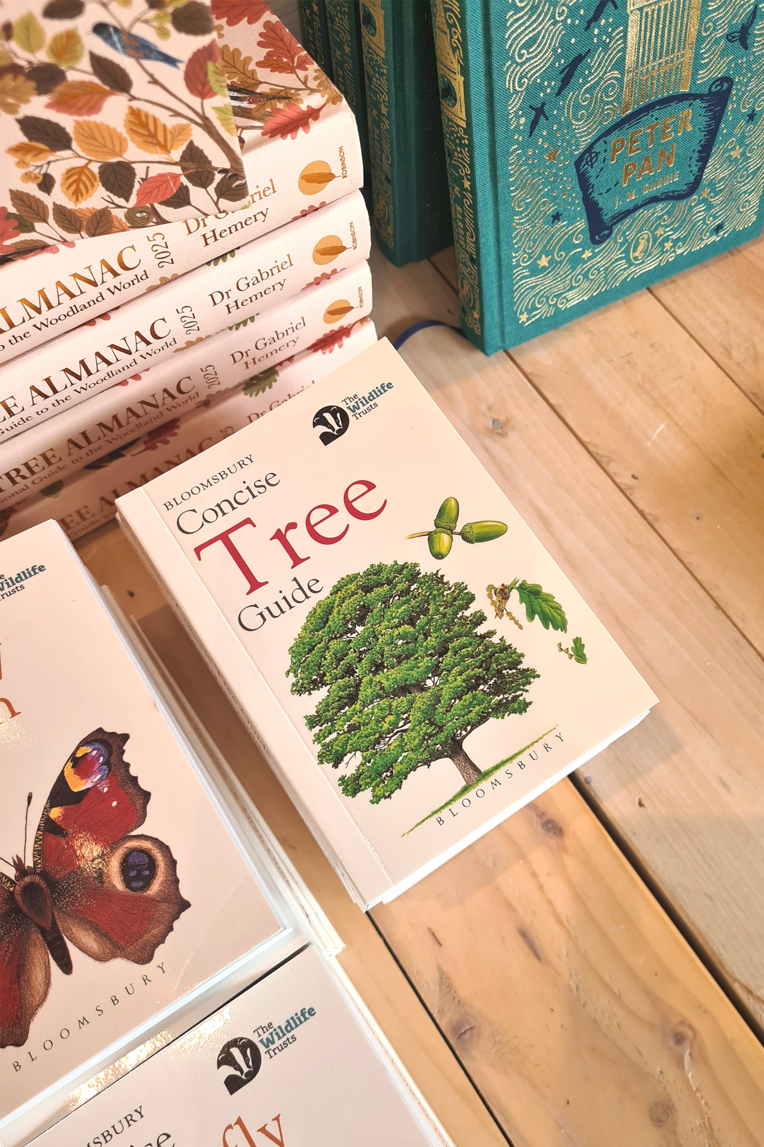 Concise Tree Guide