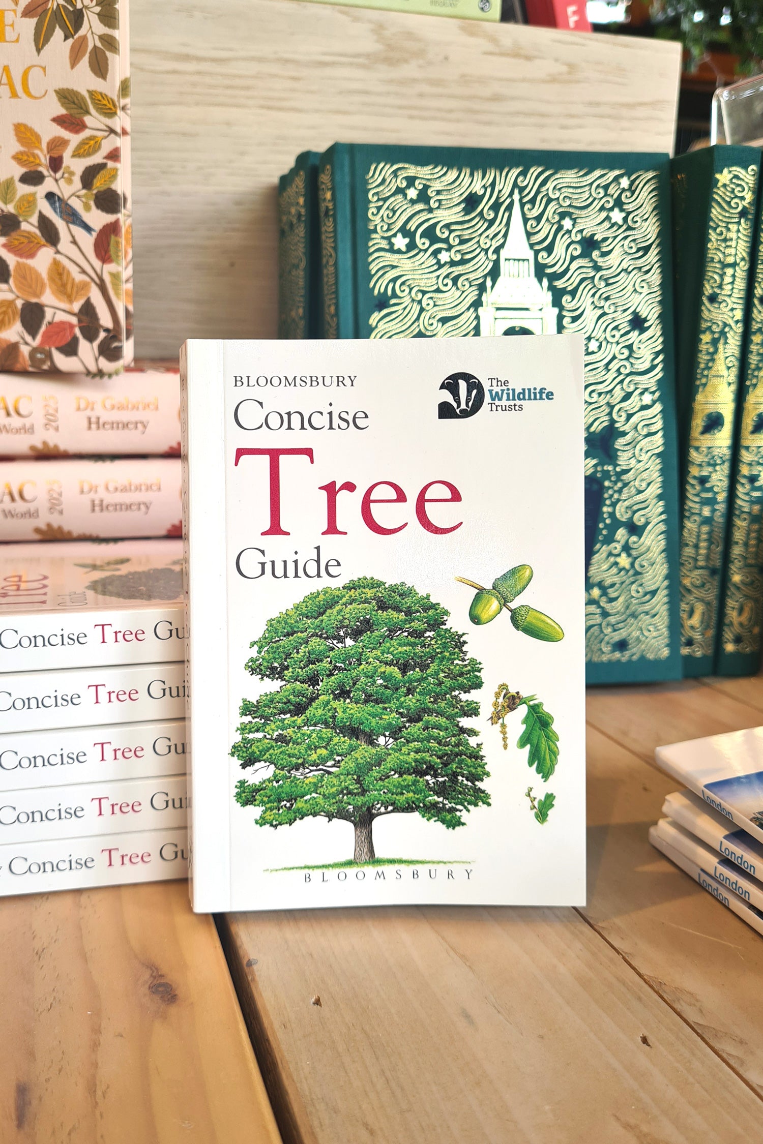 Concise Tree Guide