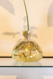 Avocado Vase Cosmic Astra