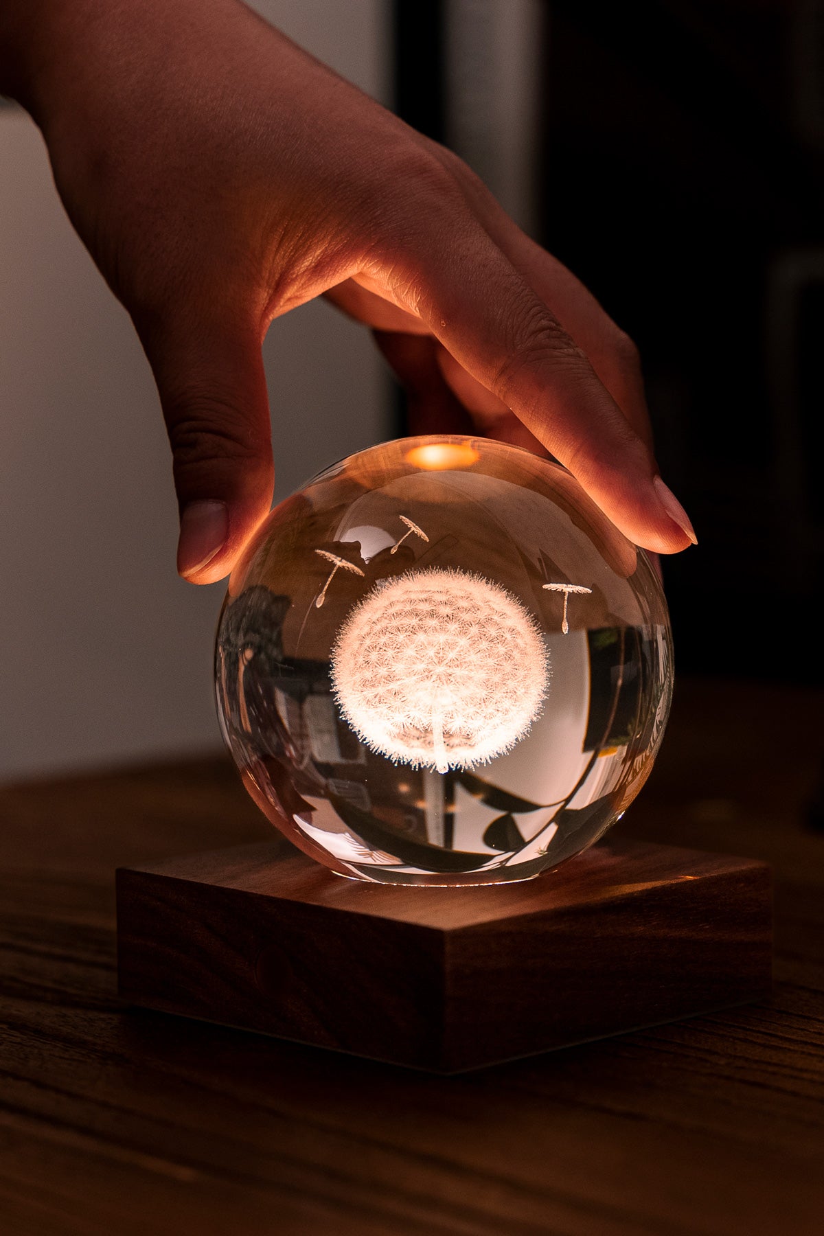 Crystal Ball Dandelion Lamp with Walnut Wood Base