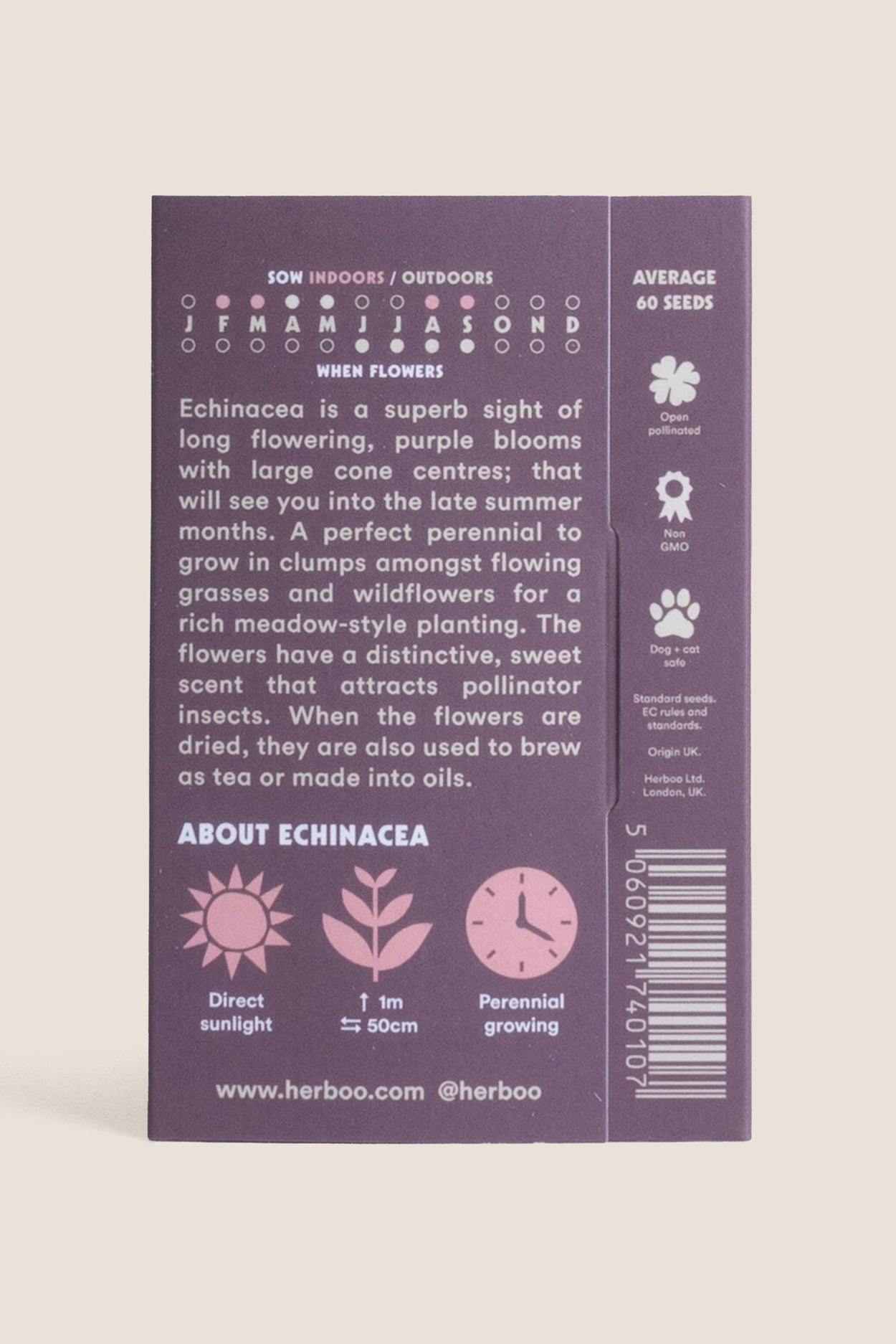 Echinacea Seeds