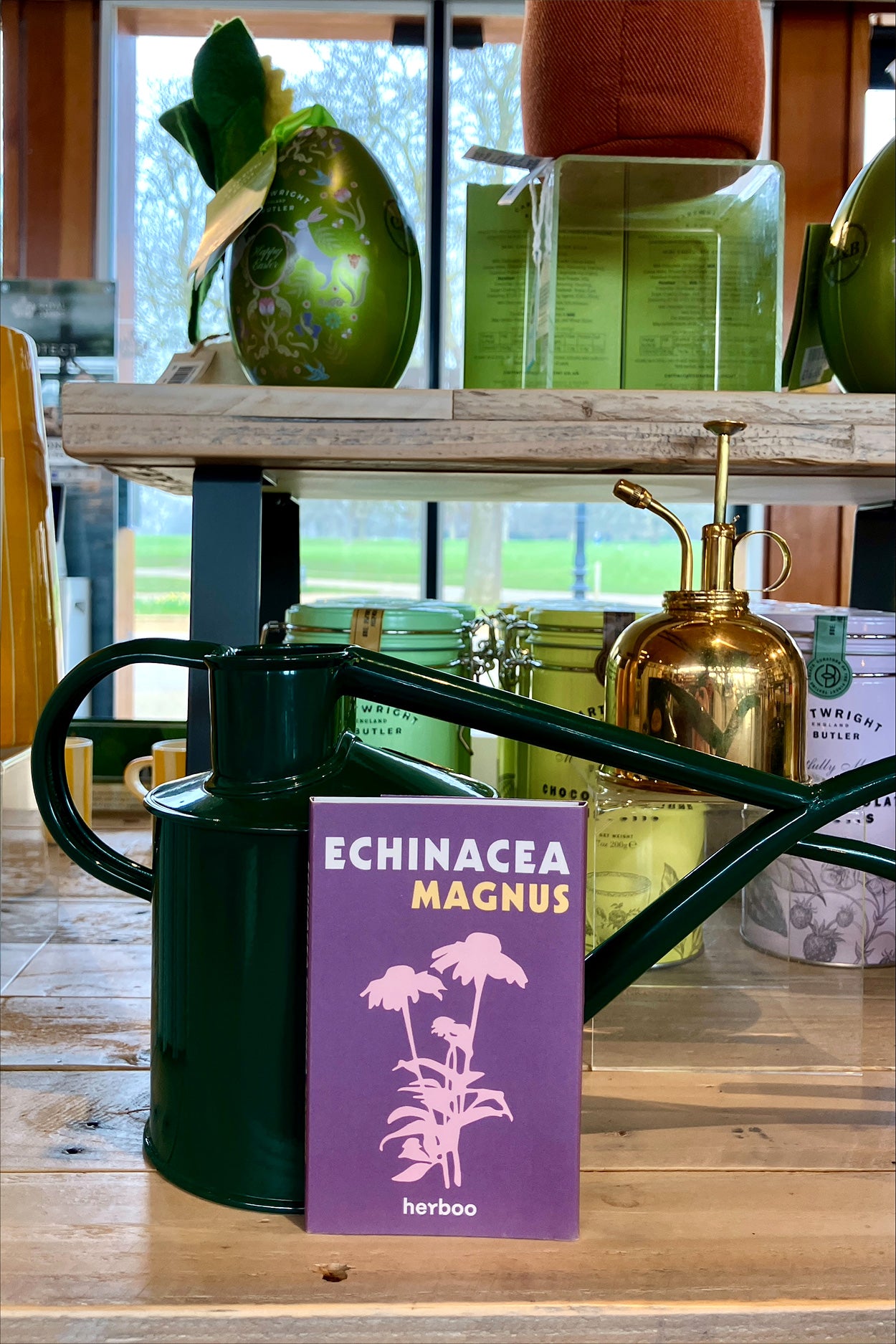 Echinacea Seeds