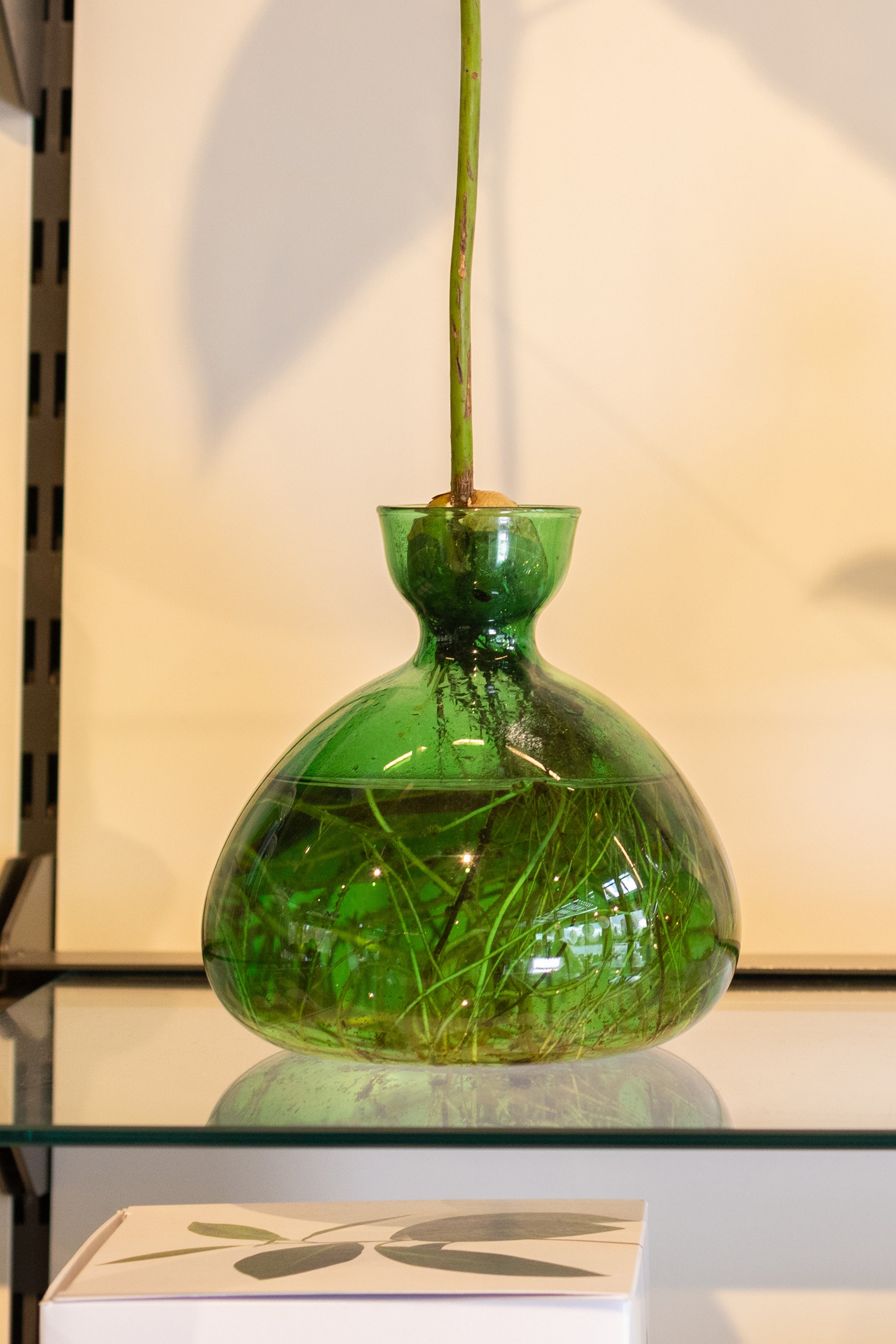 Avocado Vase Emerald Green
