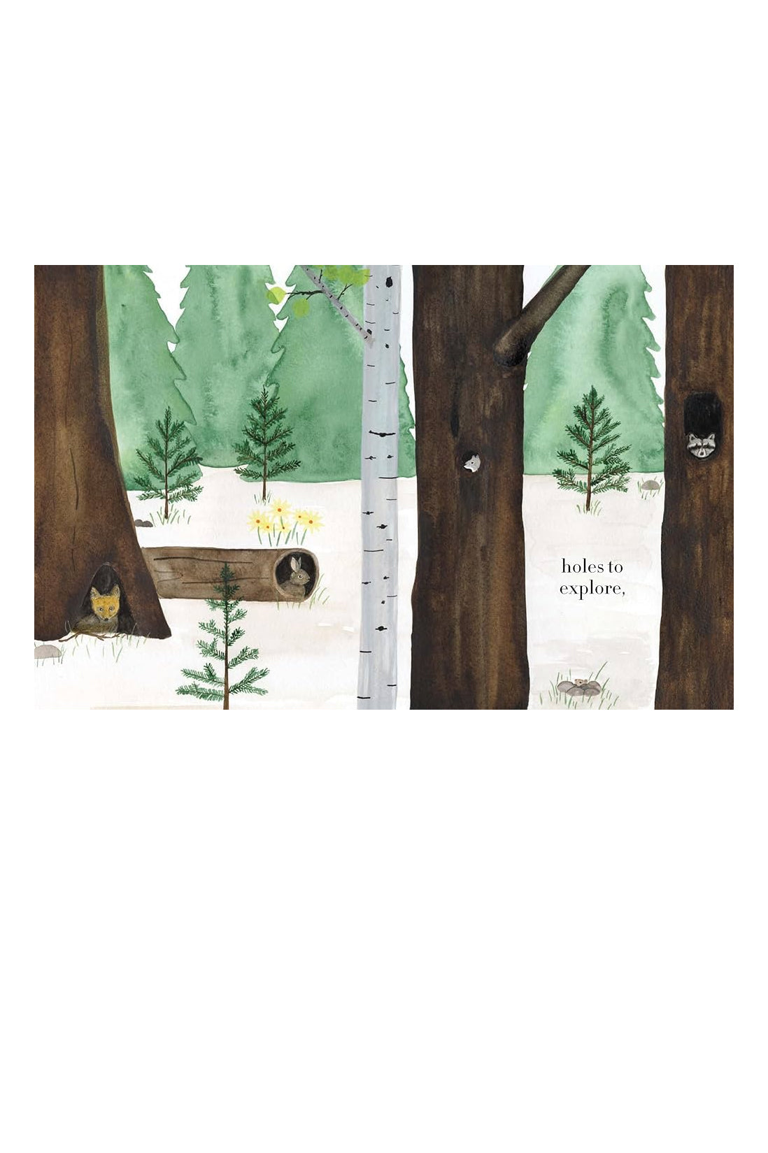 Forest book