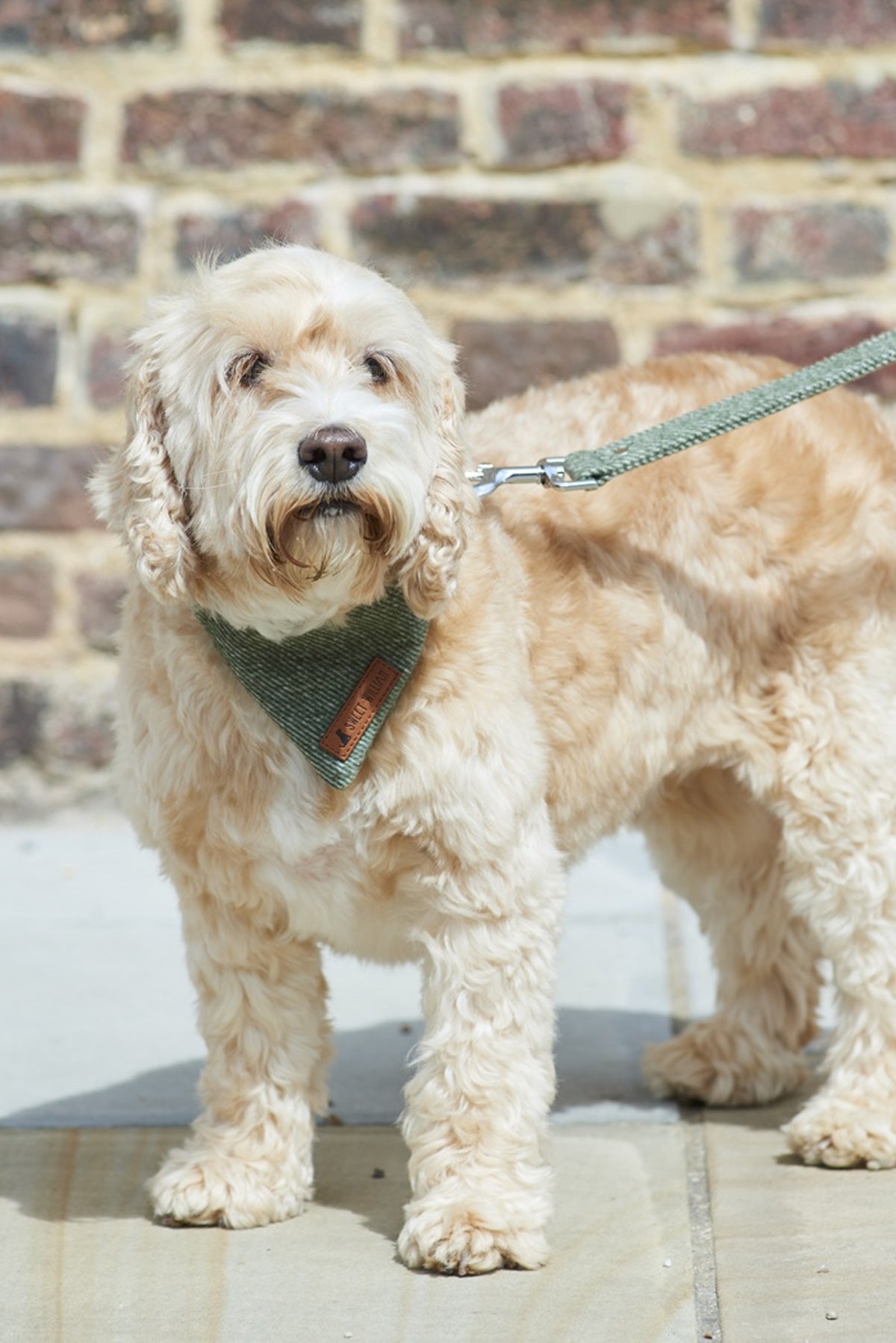 Tweed Dog Lead - Green