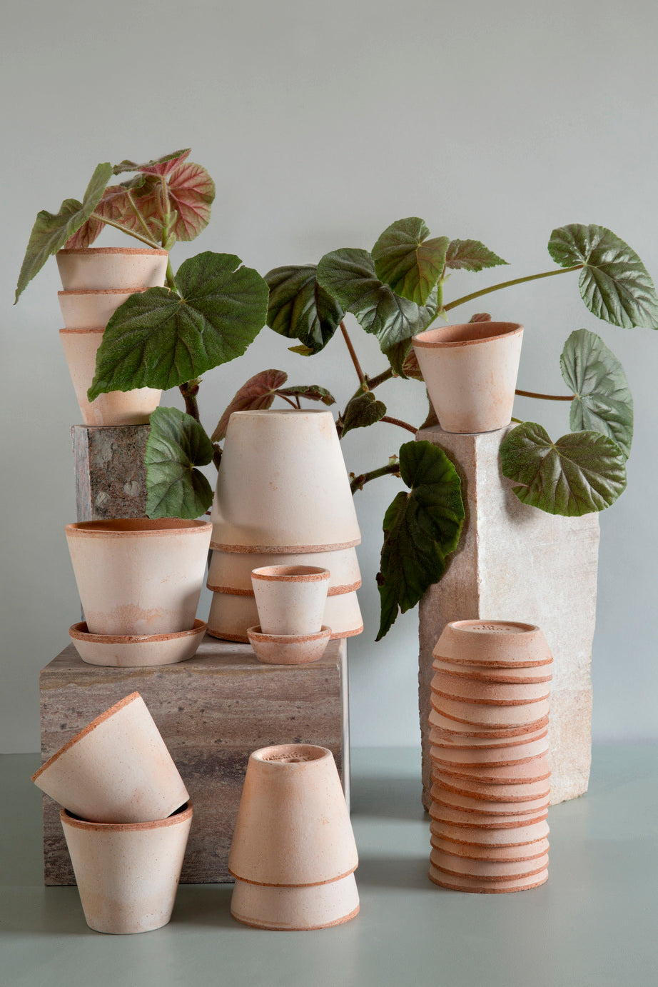Julie Plant Pot & Saucer