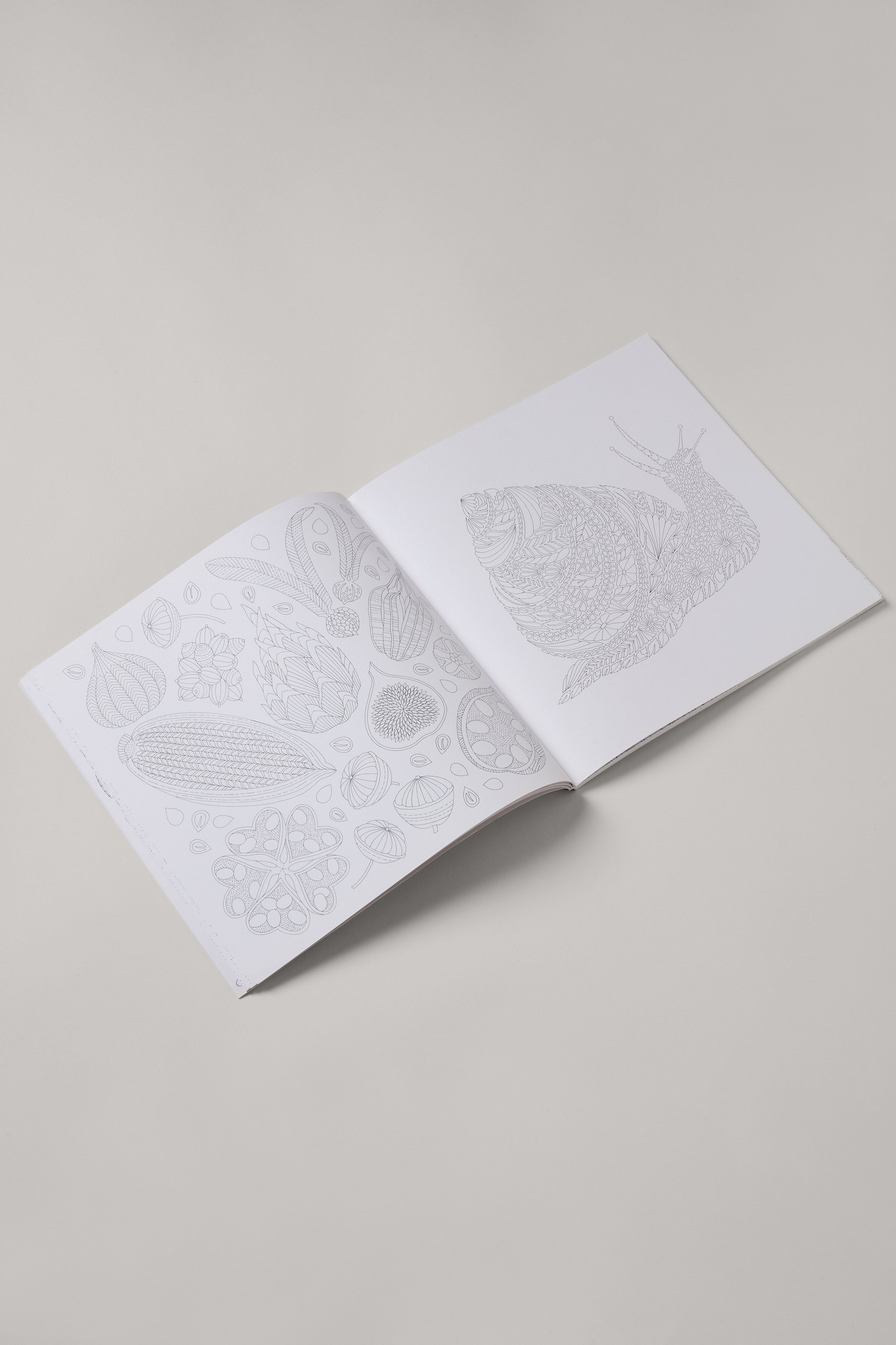 Millie Marotta's Woodland Wild: A Colouring Book Adventure