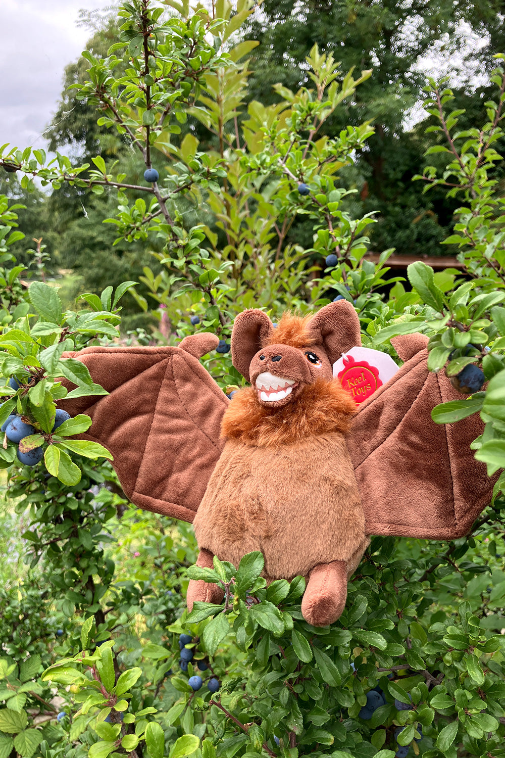 Pipistrelle Bat Soft Toy