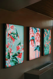 The Regents Park Collection | Daniel Quirke x The Royal Parks