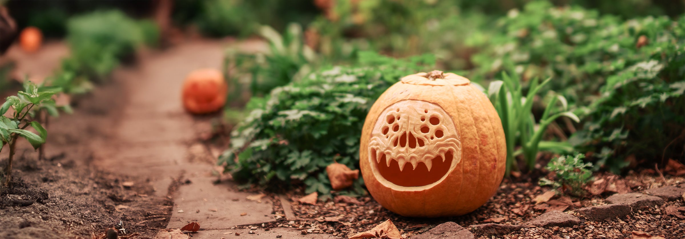 Halloween at The Royal Parks Shop