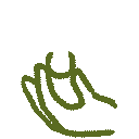 Sustainably sourced icon gif green