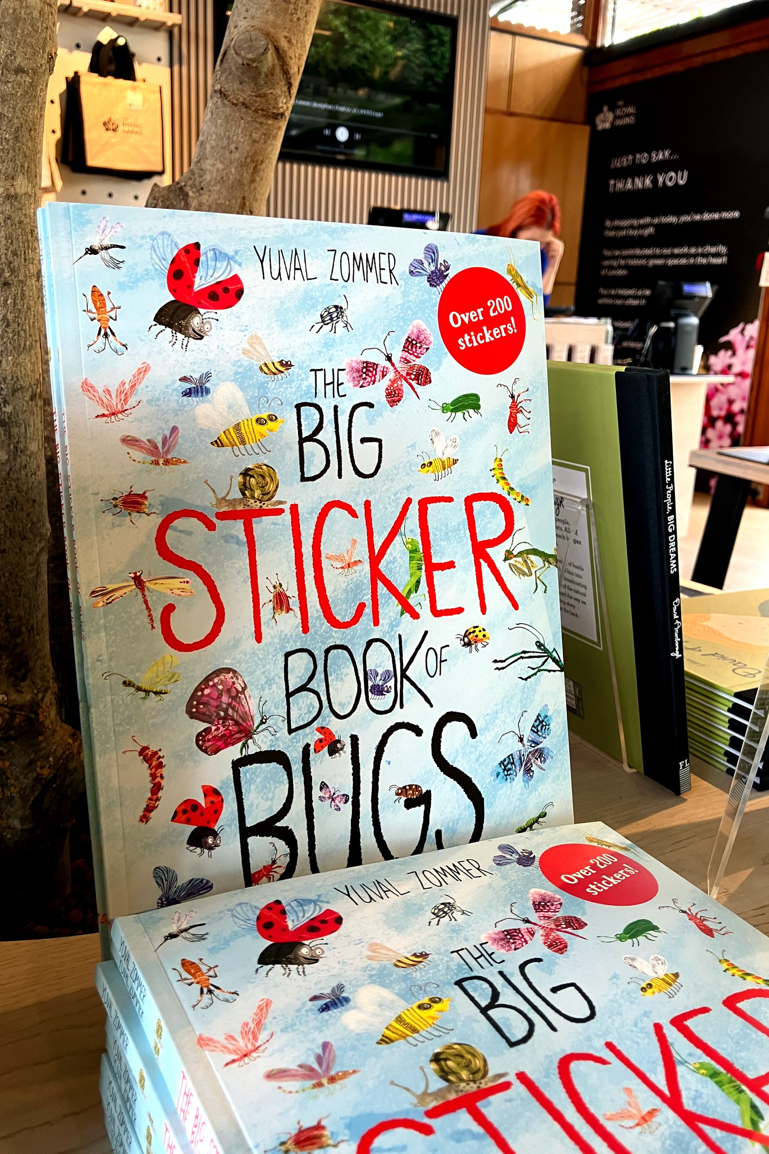 The Big Sticker Book Of Bugs