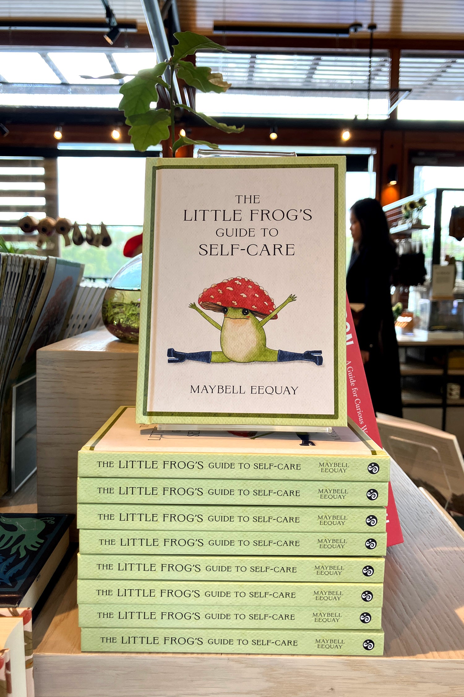 The Little Frog's Guide To Self-Care
