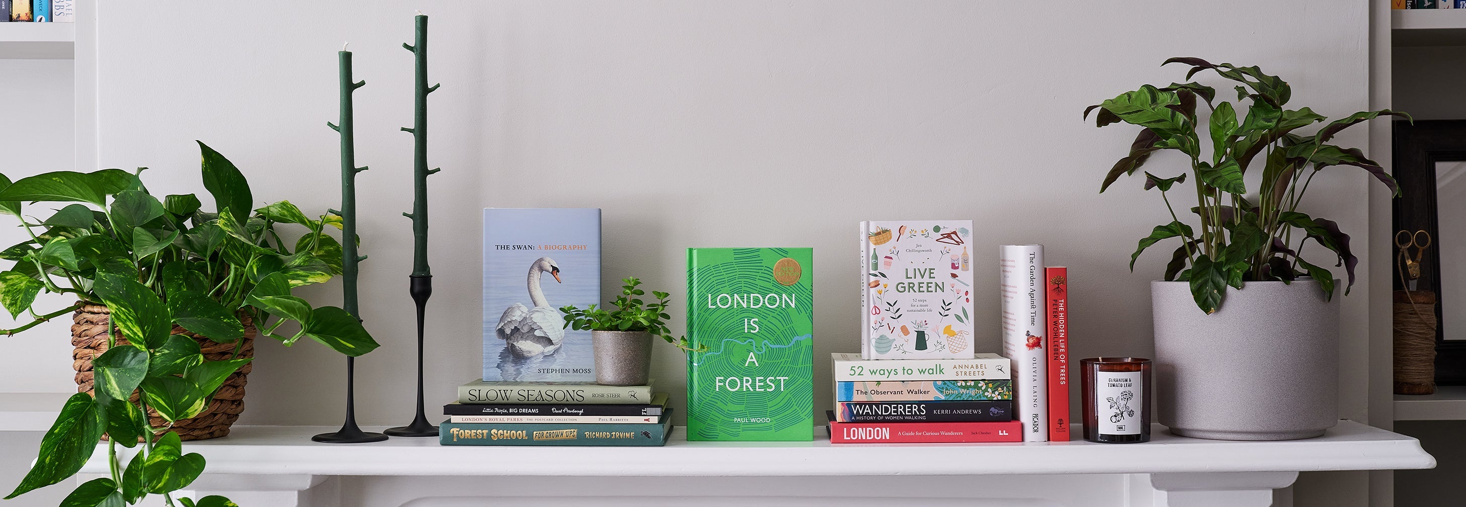 The Royal Parks Shop books collection