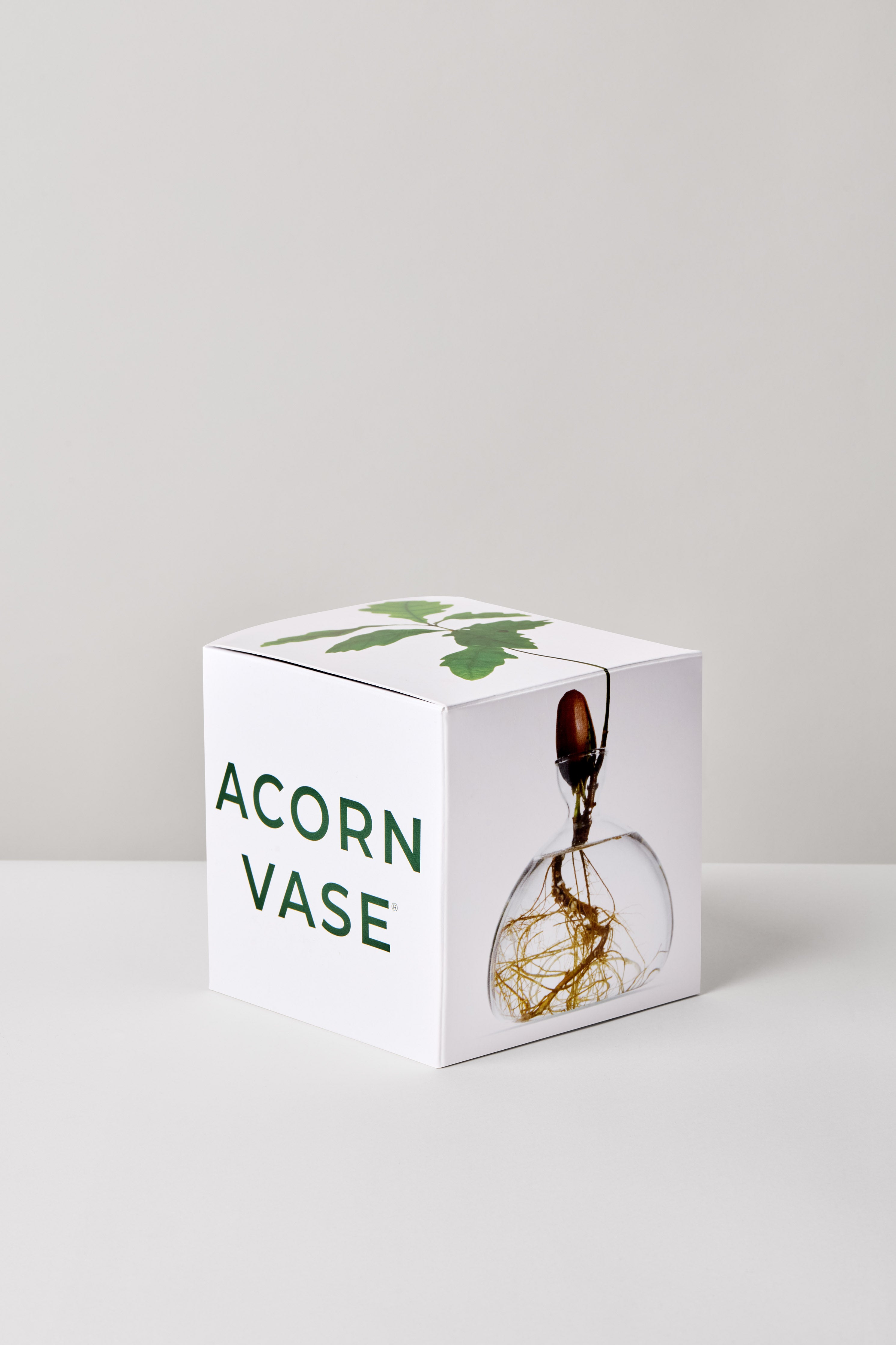 Ilex Studio Acorn Vase clear