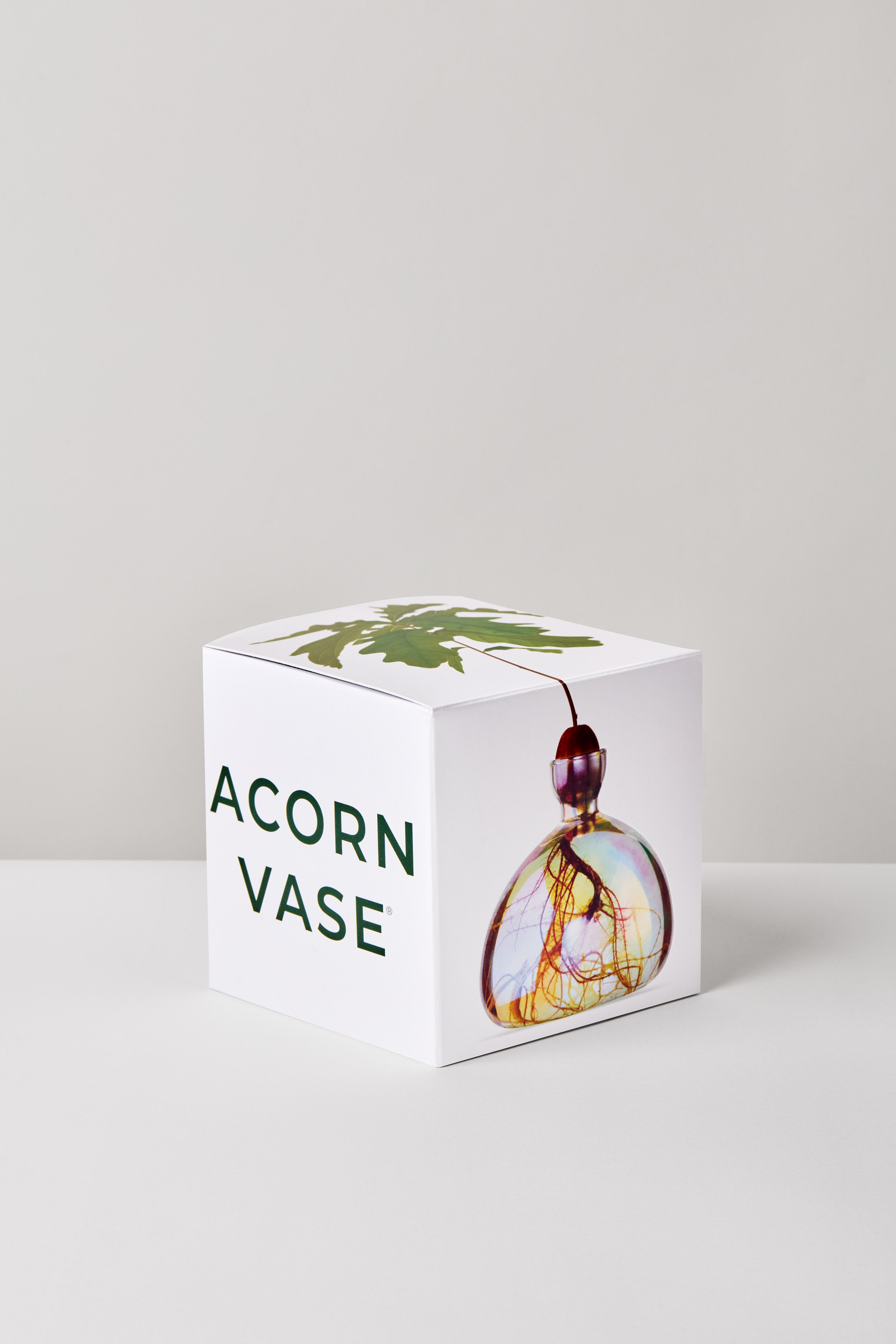 Ilex Studio Acorn Vase: Cosmic Astra