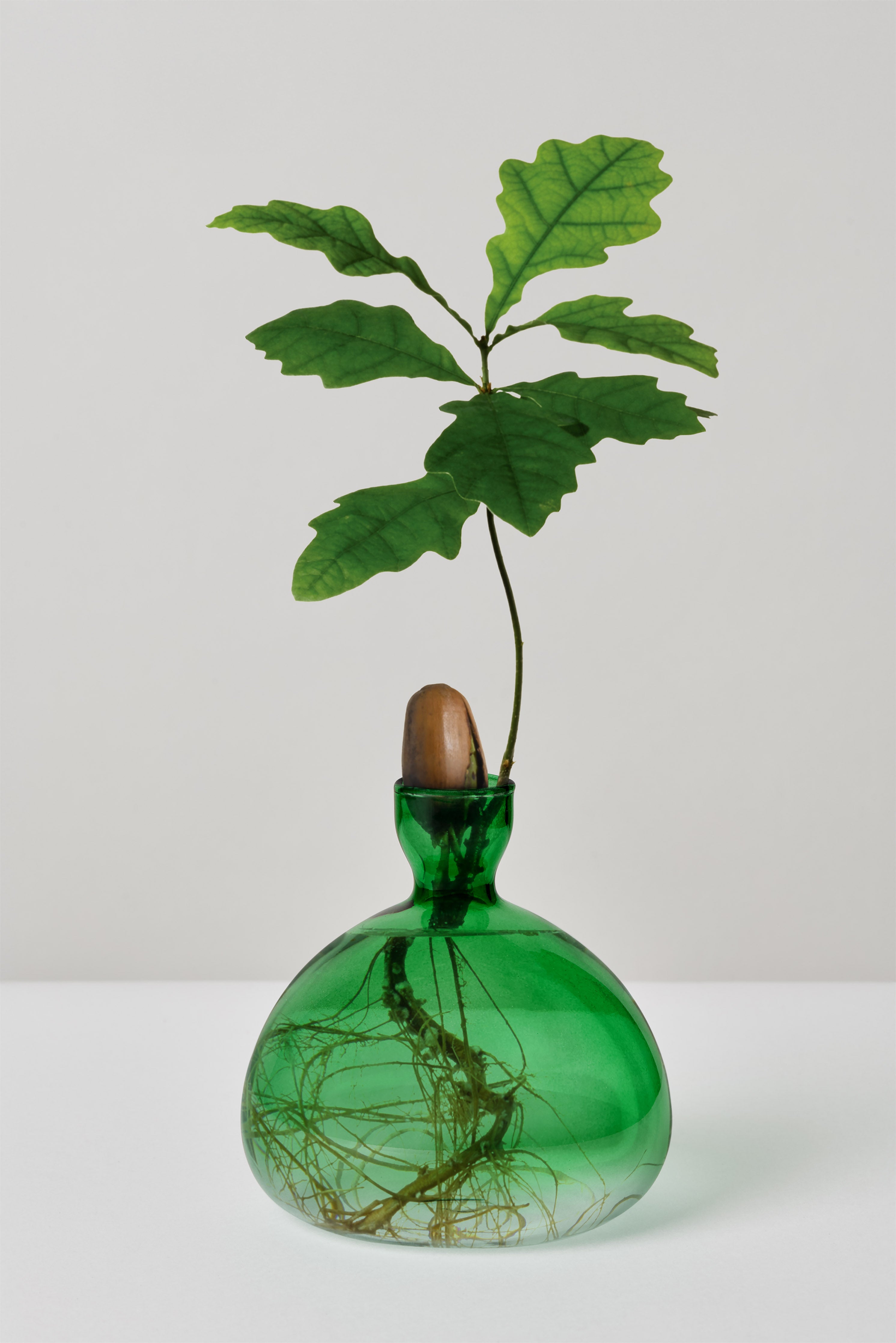 Ilex Studio Acorn Vase: Emerald Green