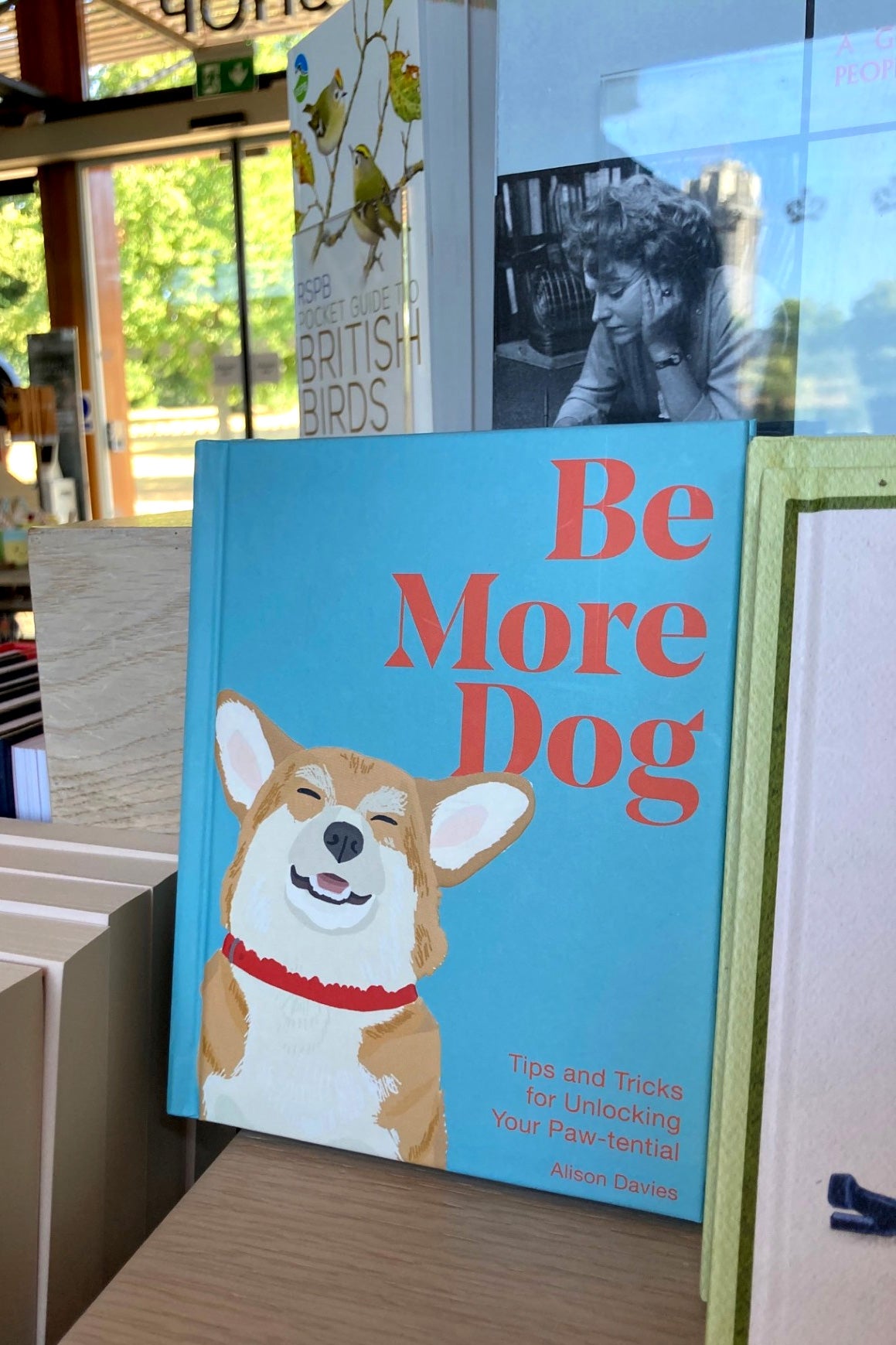 Be More Dog Book