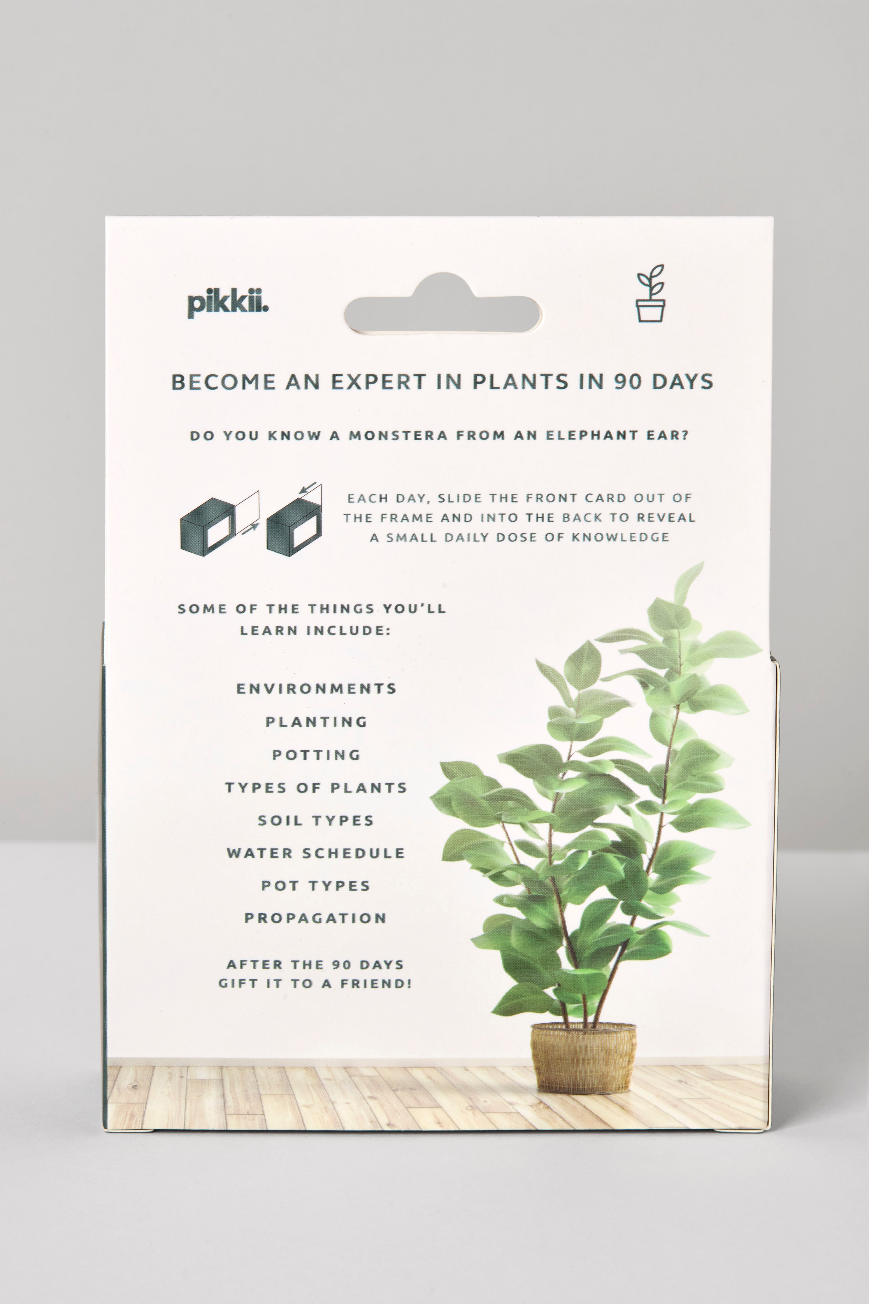 Become A Plant Expert In 90 Days Game