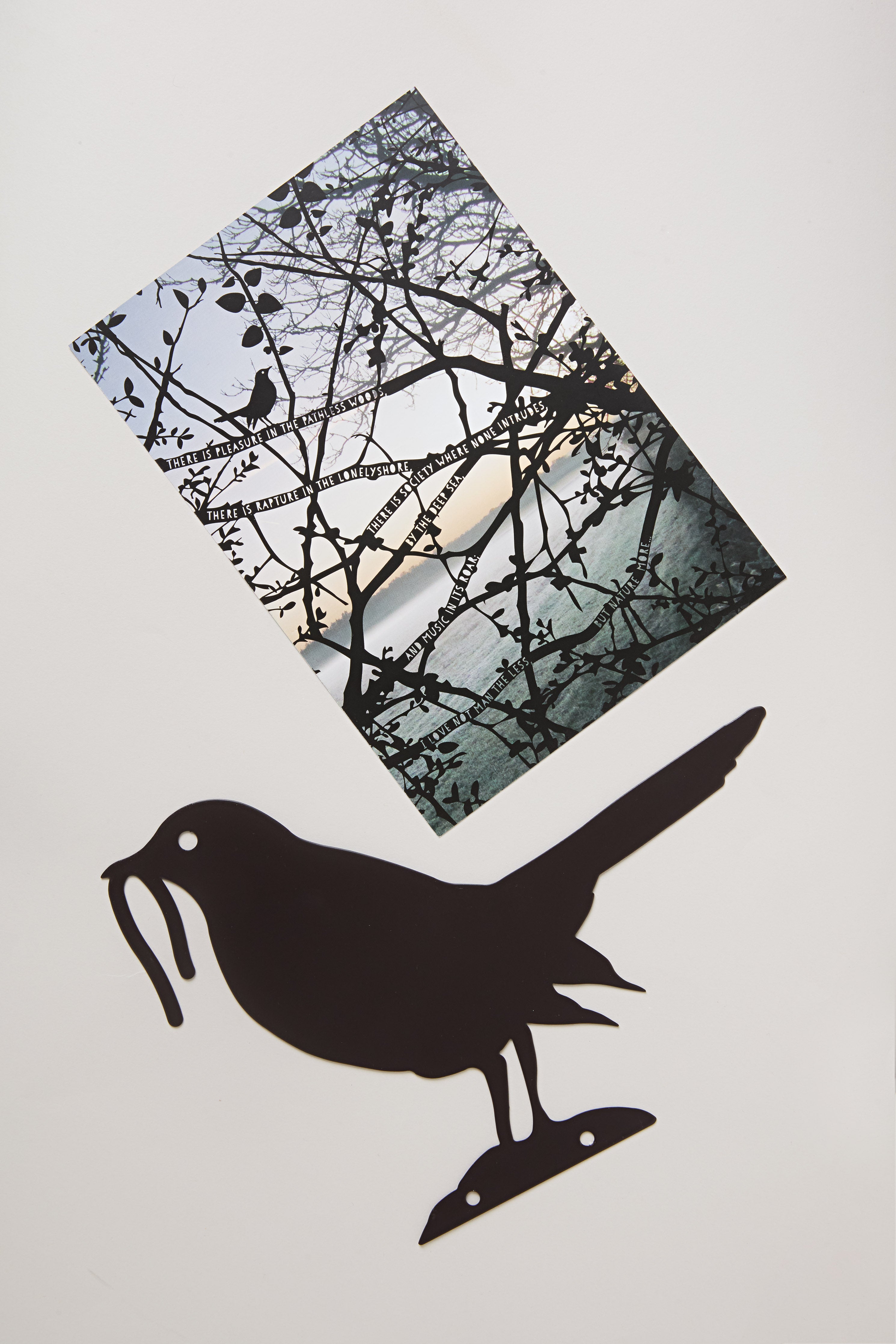 Blackbird Fence Topper