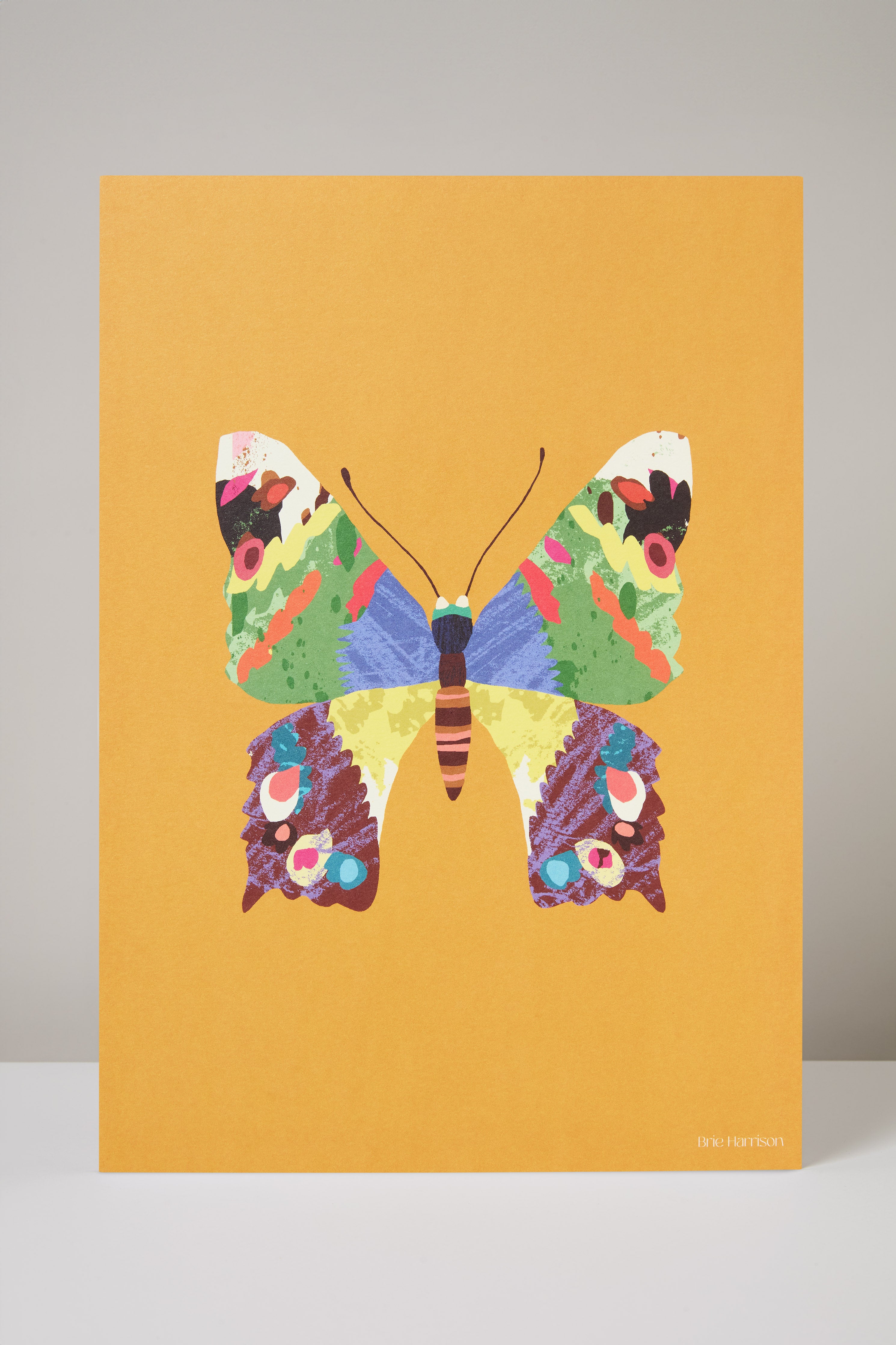 Buttefly Mini Print A4