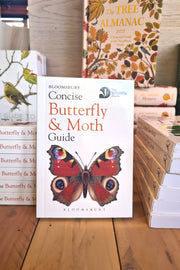 Concise Butterfly and Moth Guide