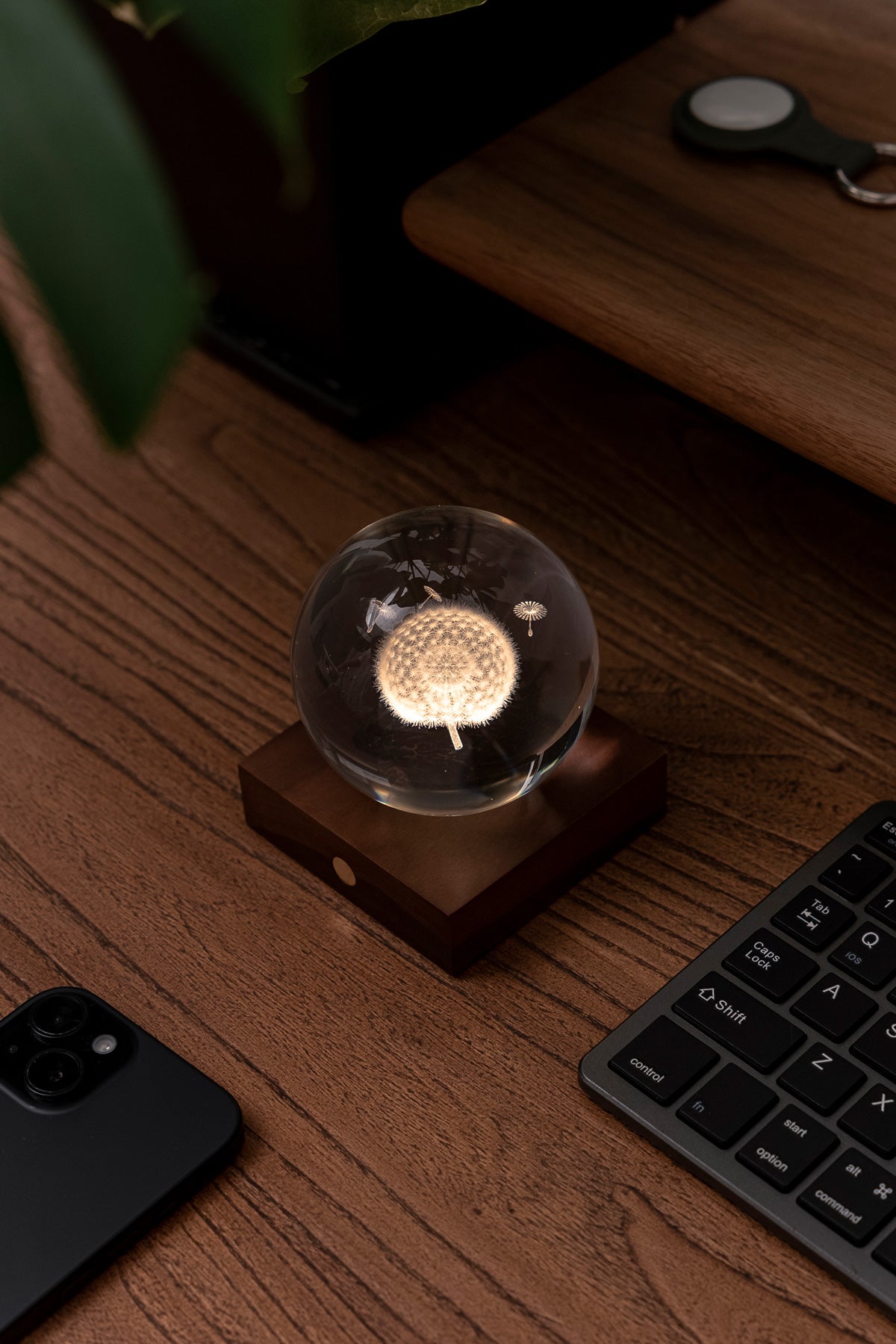 Crystal Ball Dandelion Lamp with Walnut Wood Base