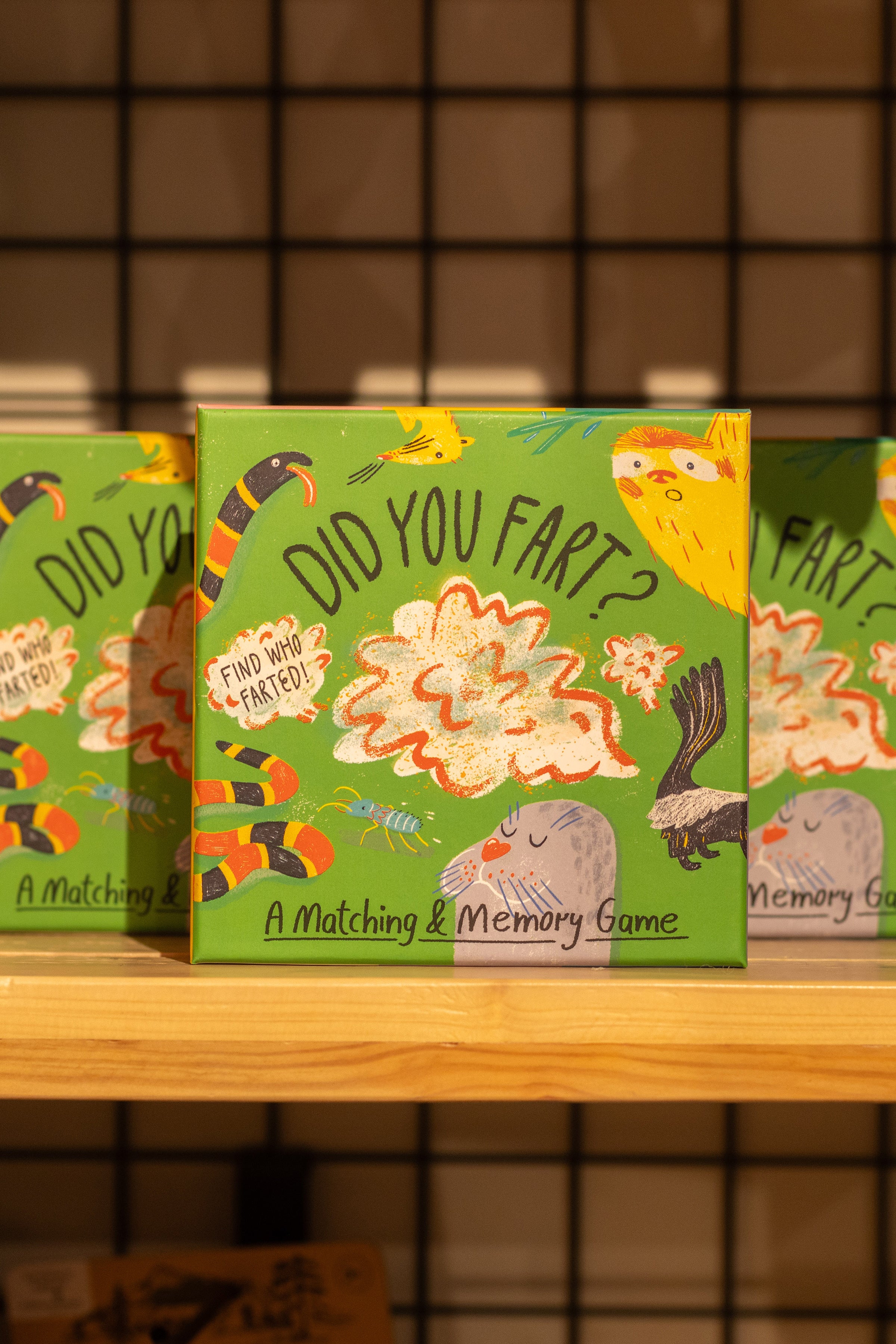 Did You Fart?: A Matching & Memory Game