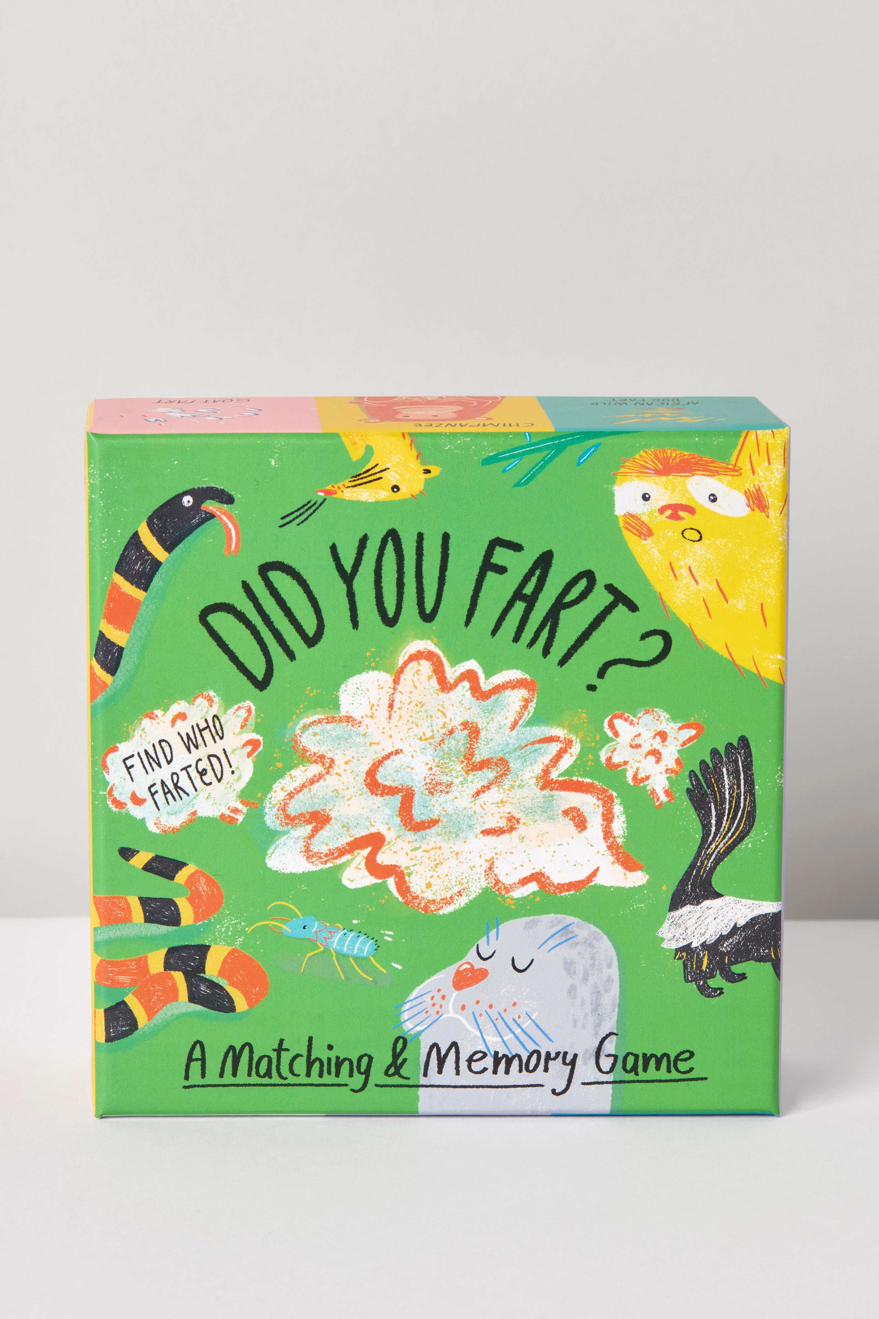 Did You Fart?: A Matching & Memory Game