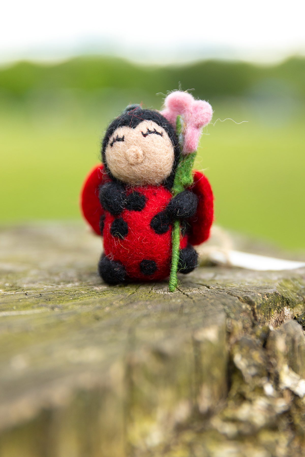 Felt Ladybird Hanging Decoration