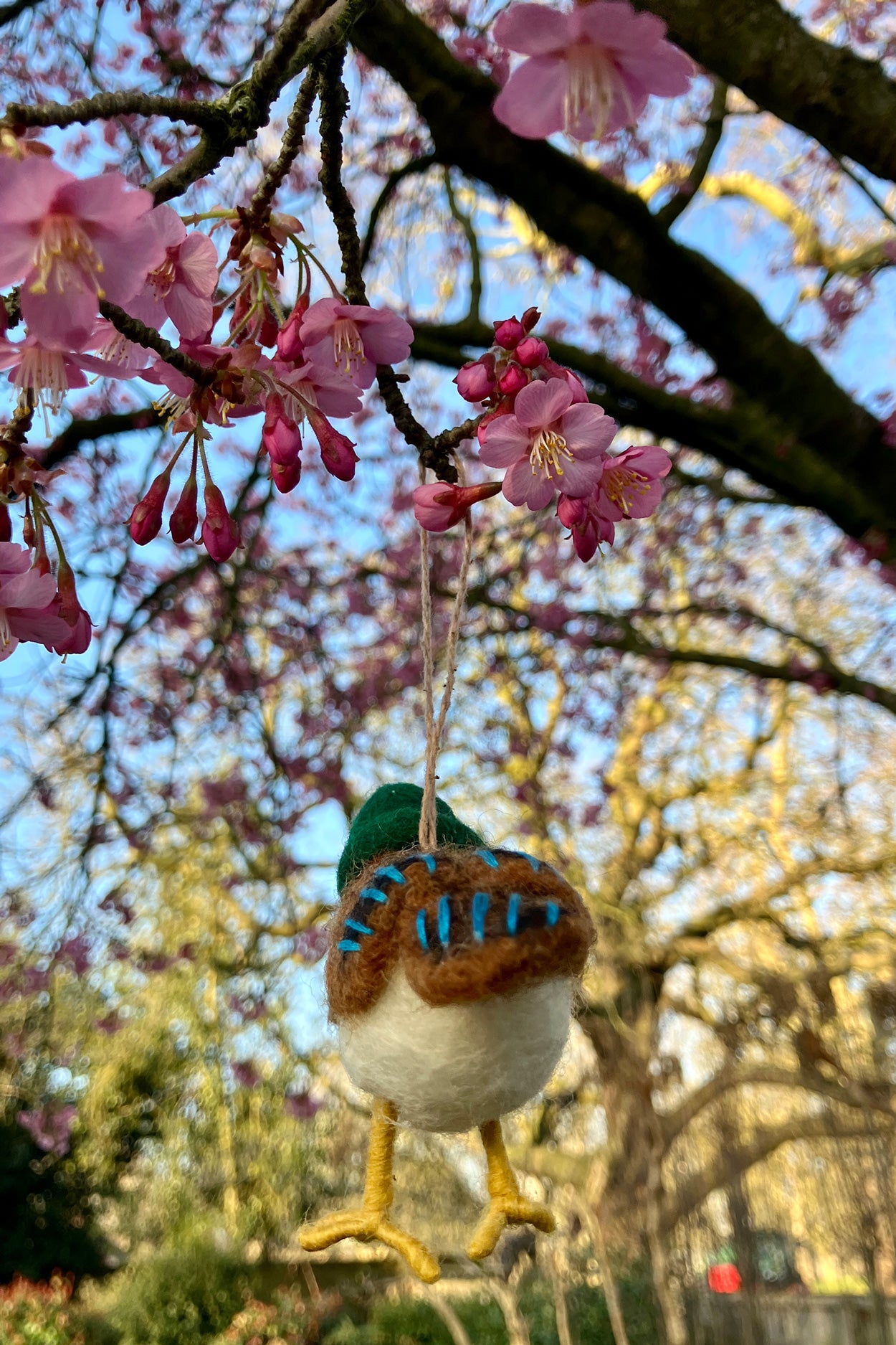 Felt Byron Bird Watcher Hanging Decoration