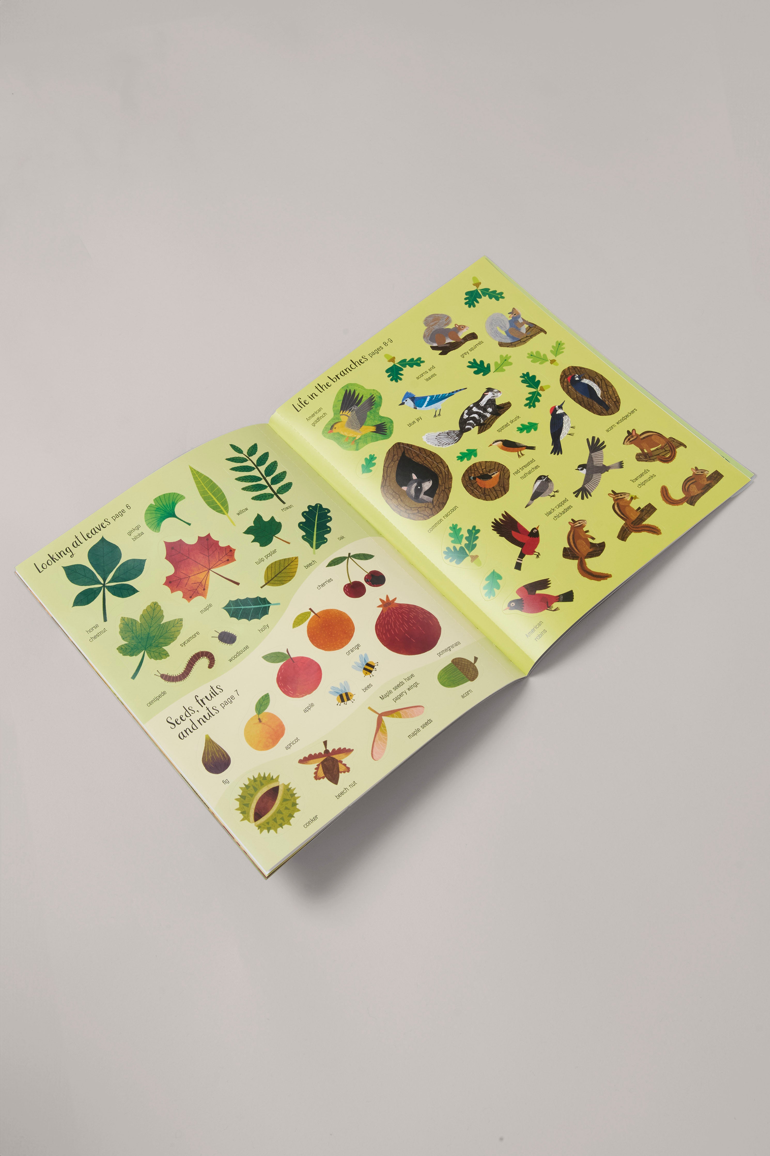 First Sticker Book of Trees