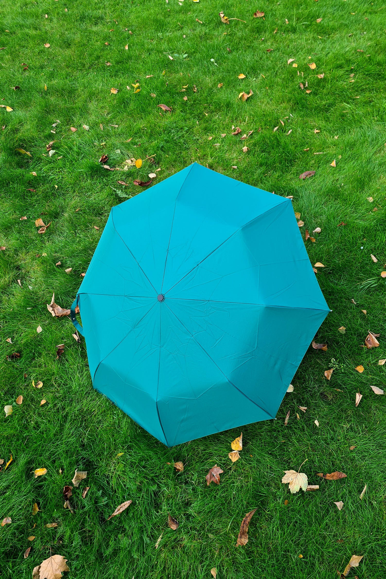 Forest Green Original Duckhead Umbrella