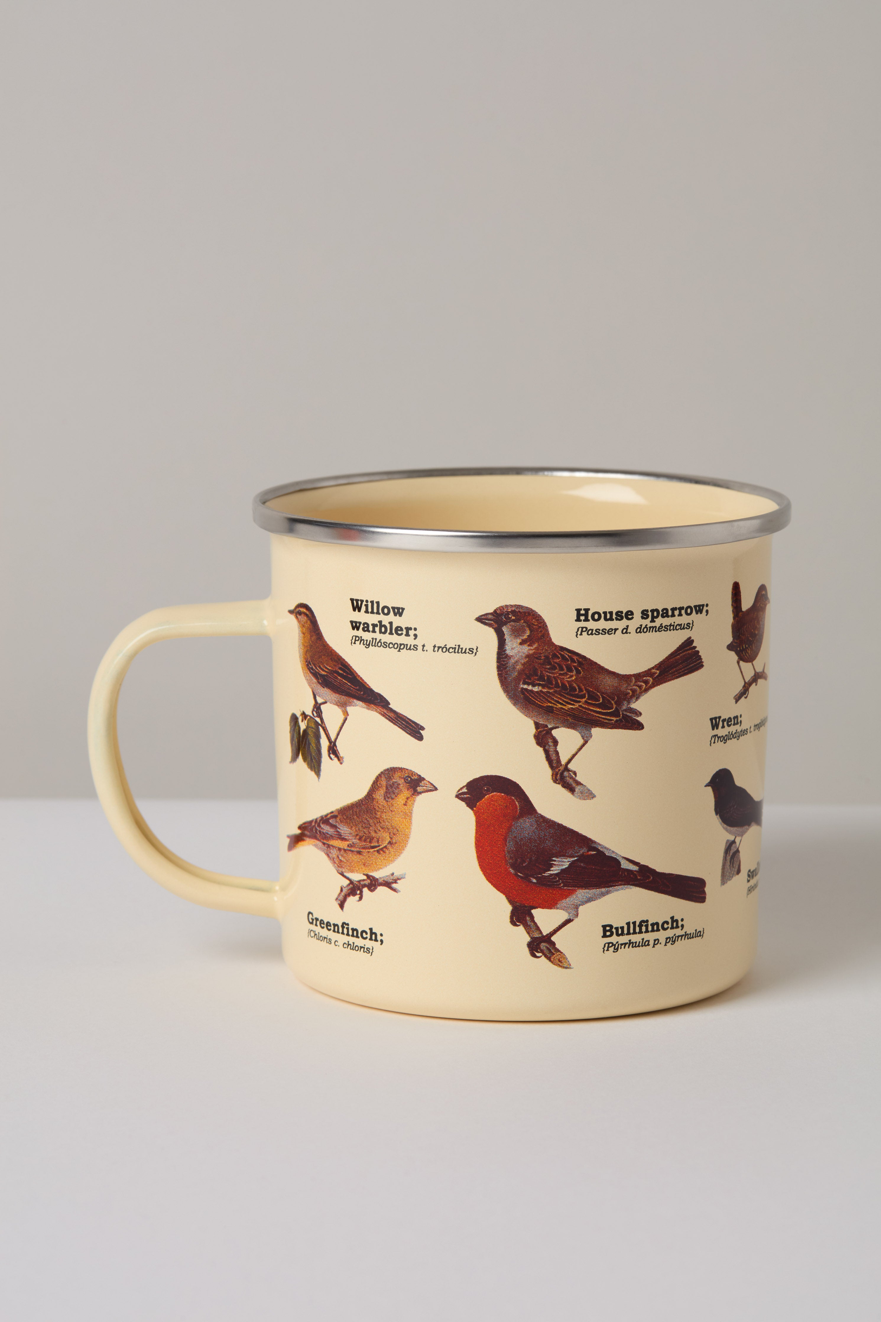 Garden Birds Enamel Mug