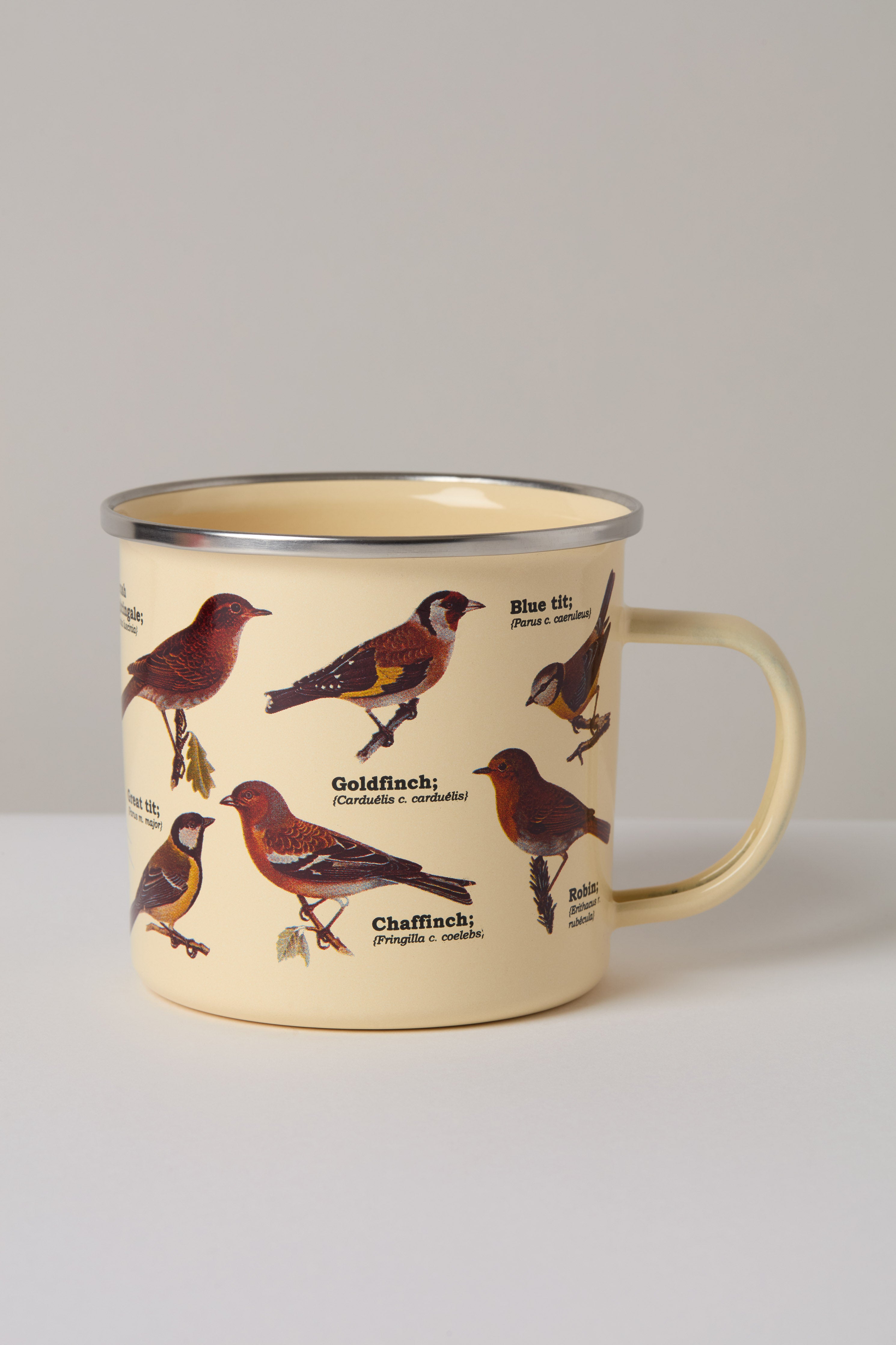 Garden Birds Enamel Mug