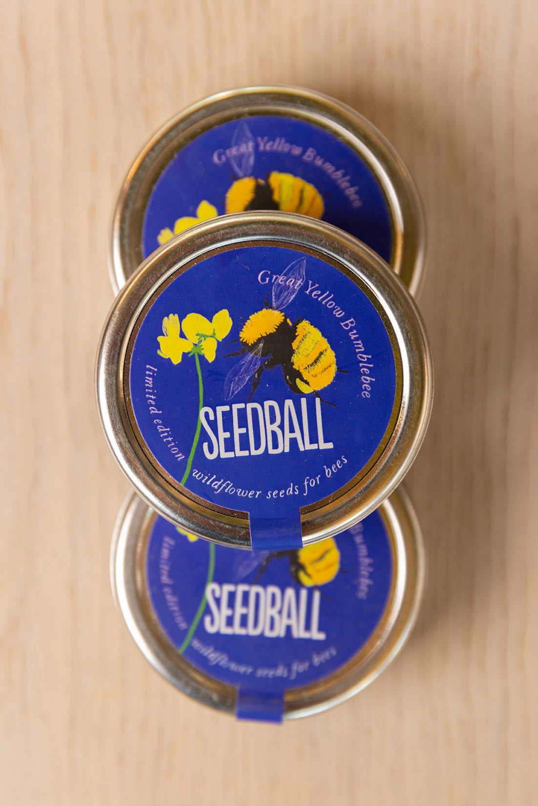 Great Yellow Bumblebee Wildflower Seedballs