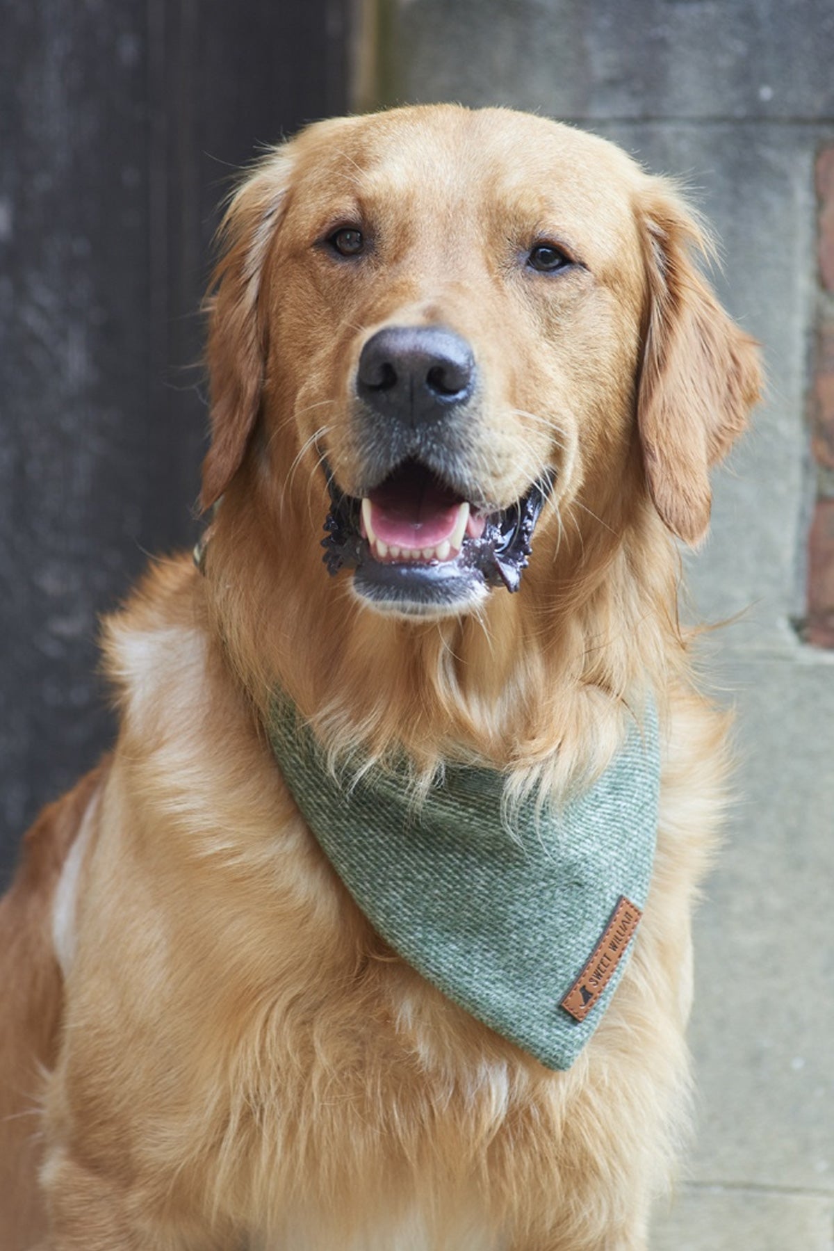 Tweed Dog Bandana - Green 