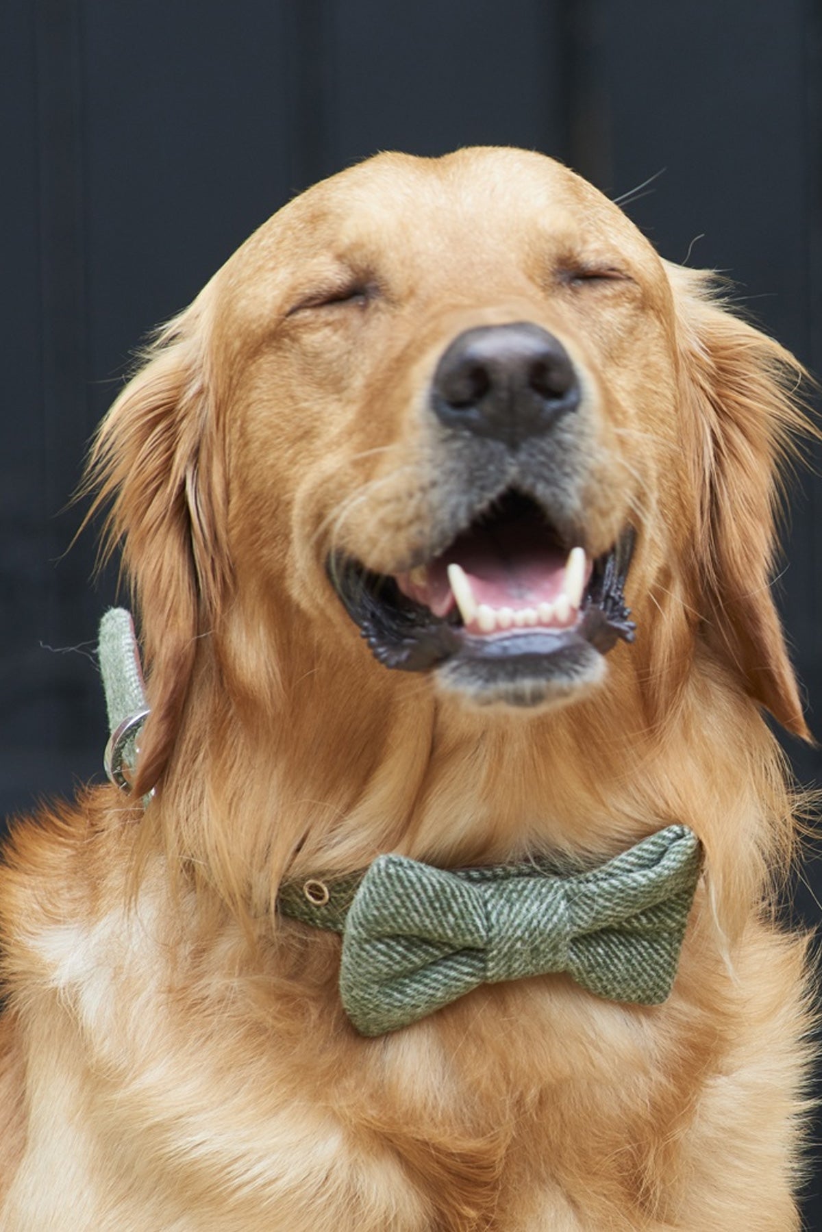 Tweed Dog Collar - Green Medium