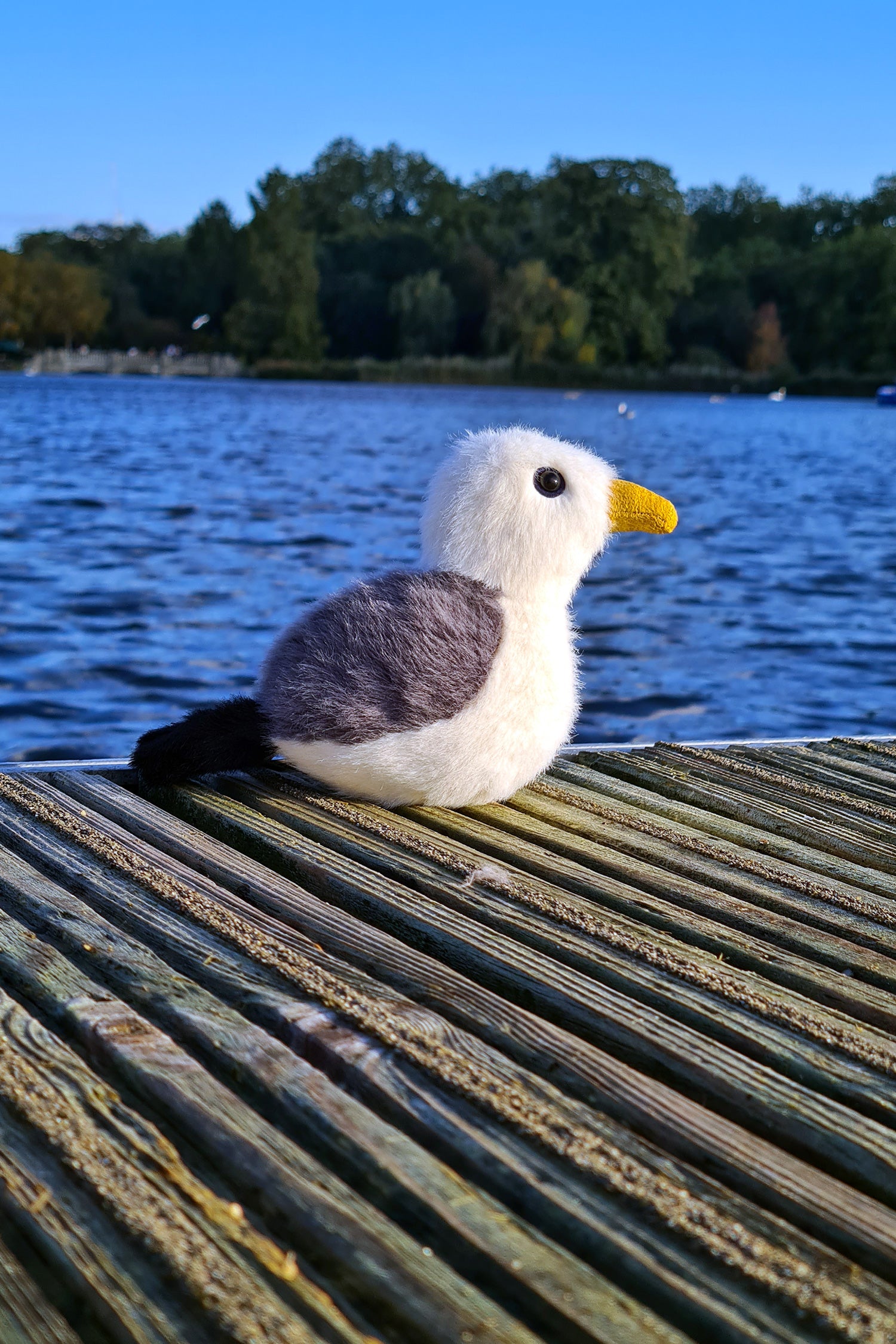 Jellycat Seagull Birdling Soft Toy