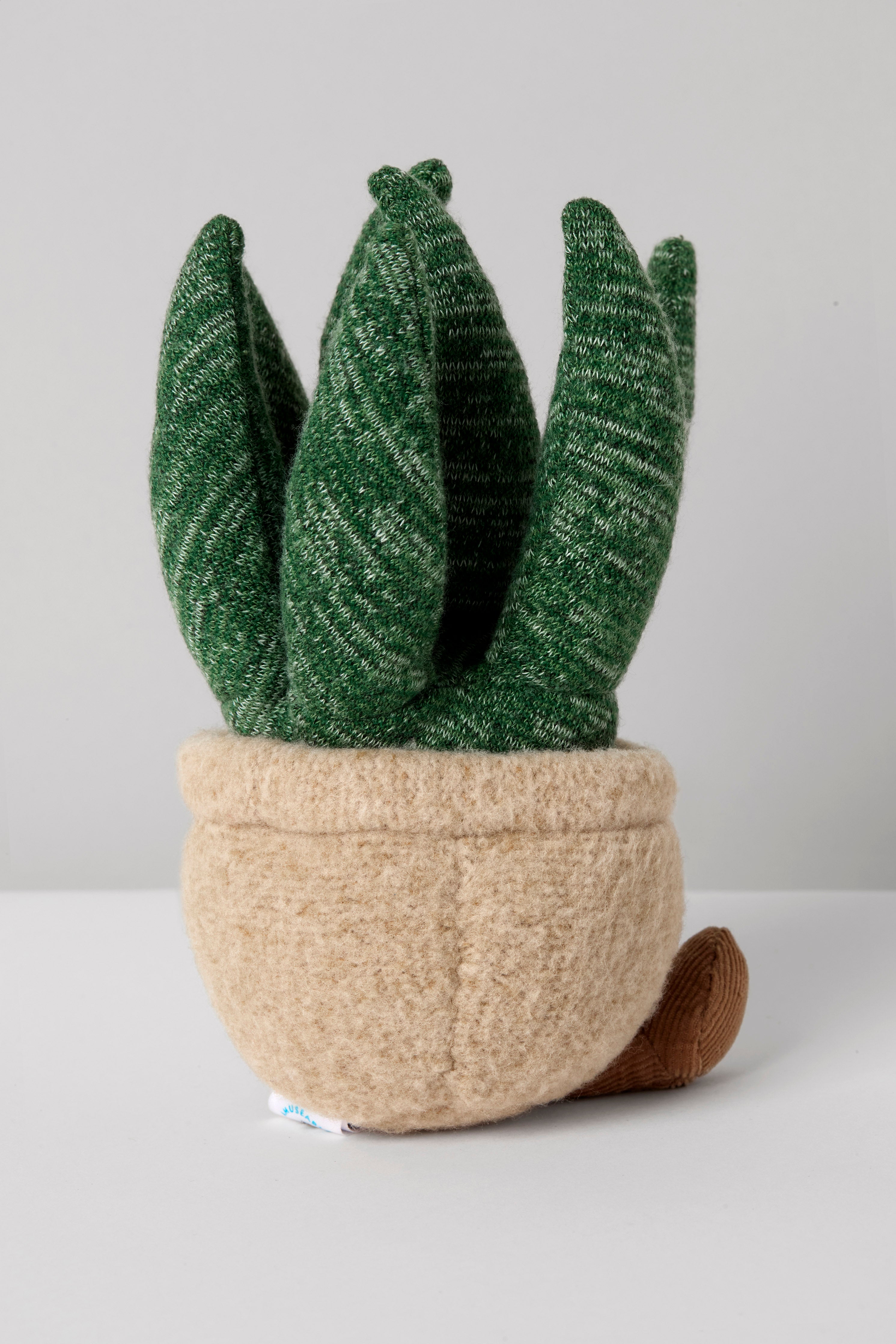 Jellycat Aloe Vera Soft Toy