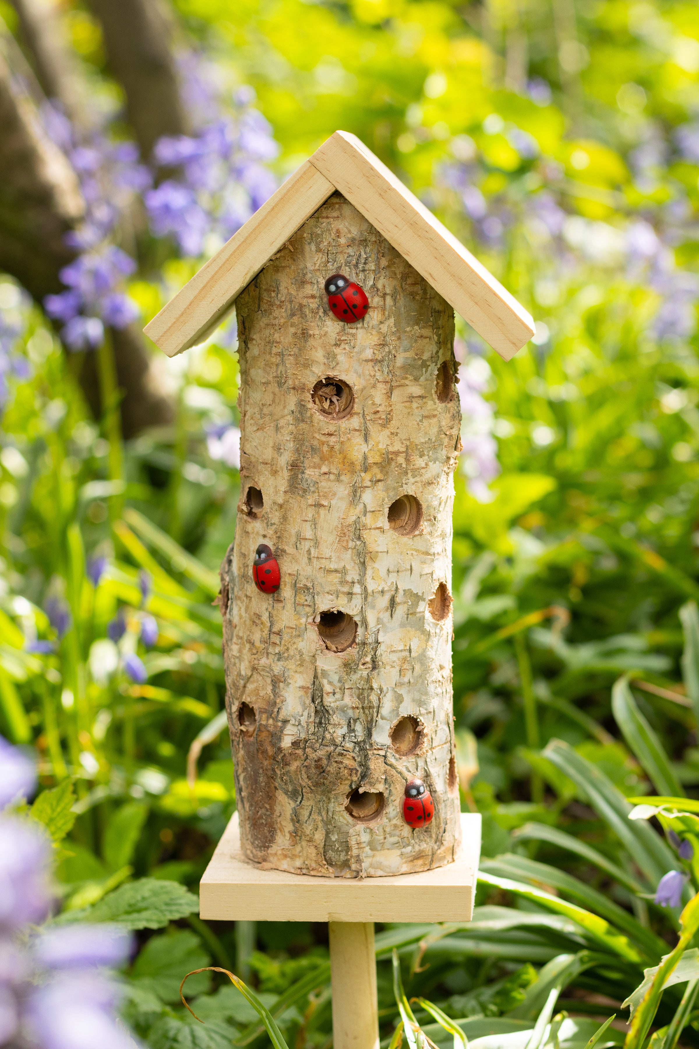 Ladybird Tower