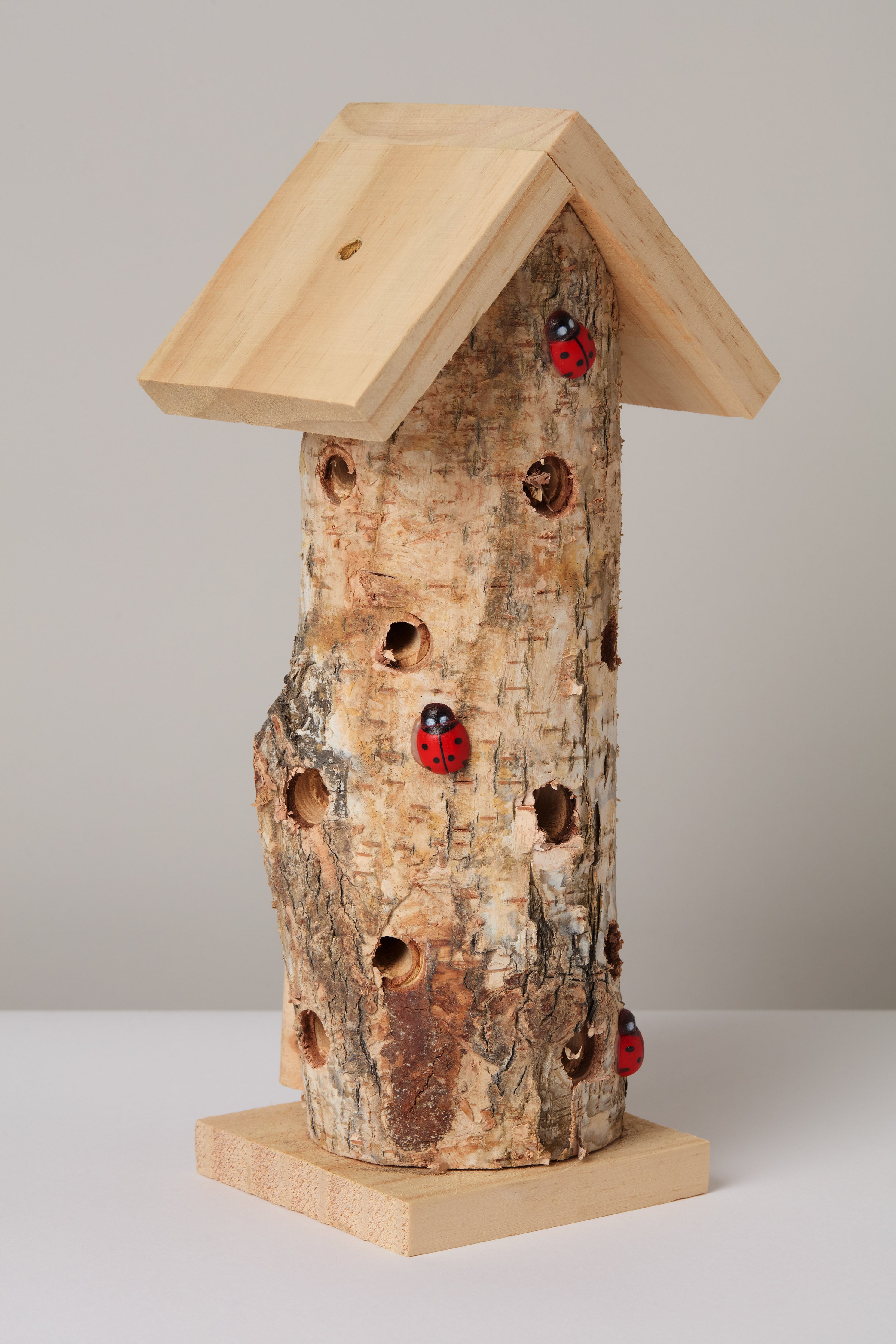 Ladybird Tower