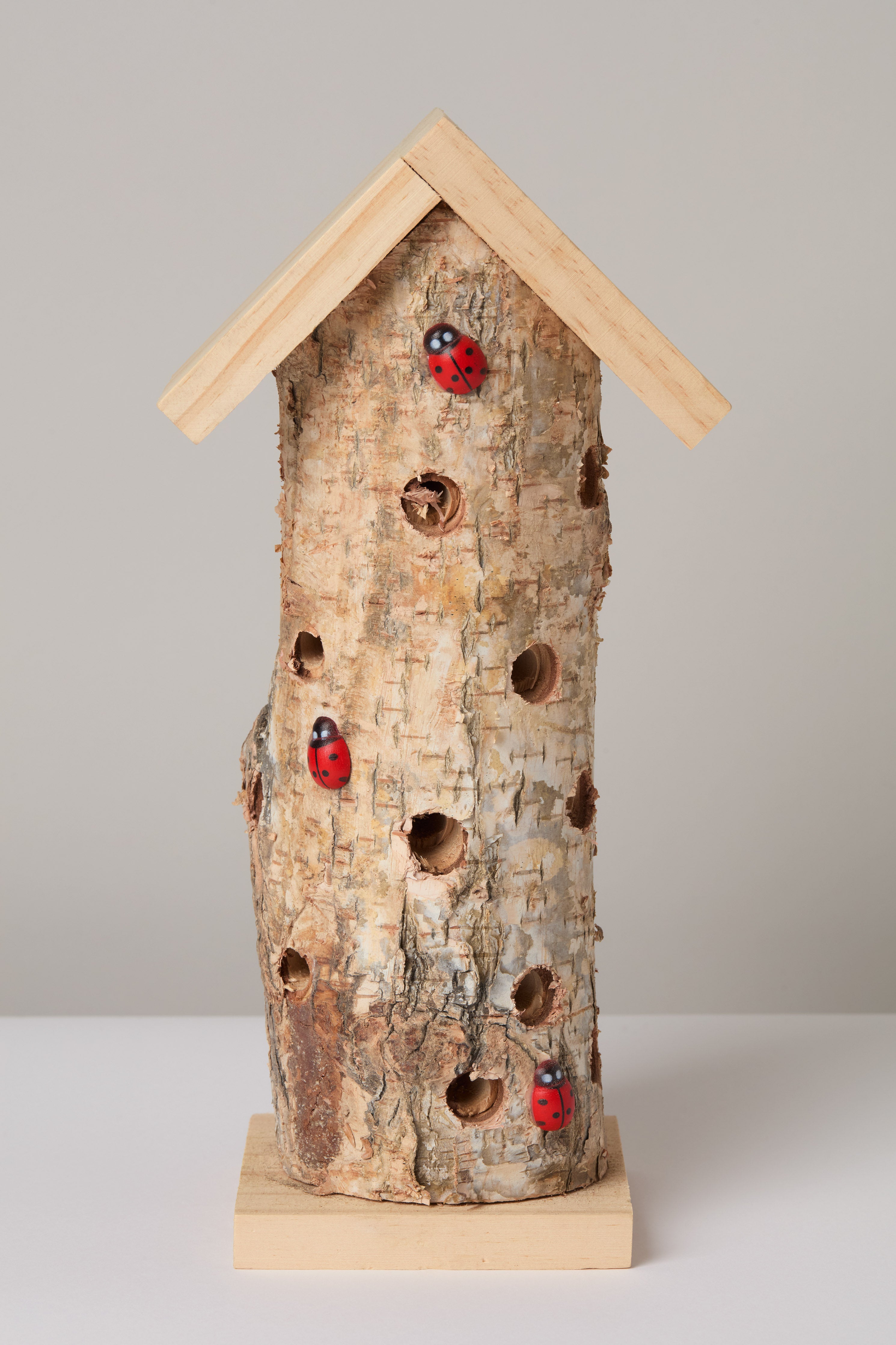 Ladybird Tower