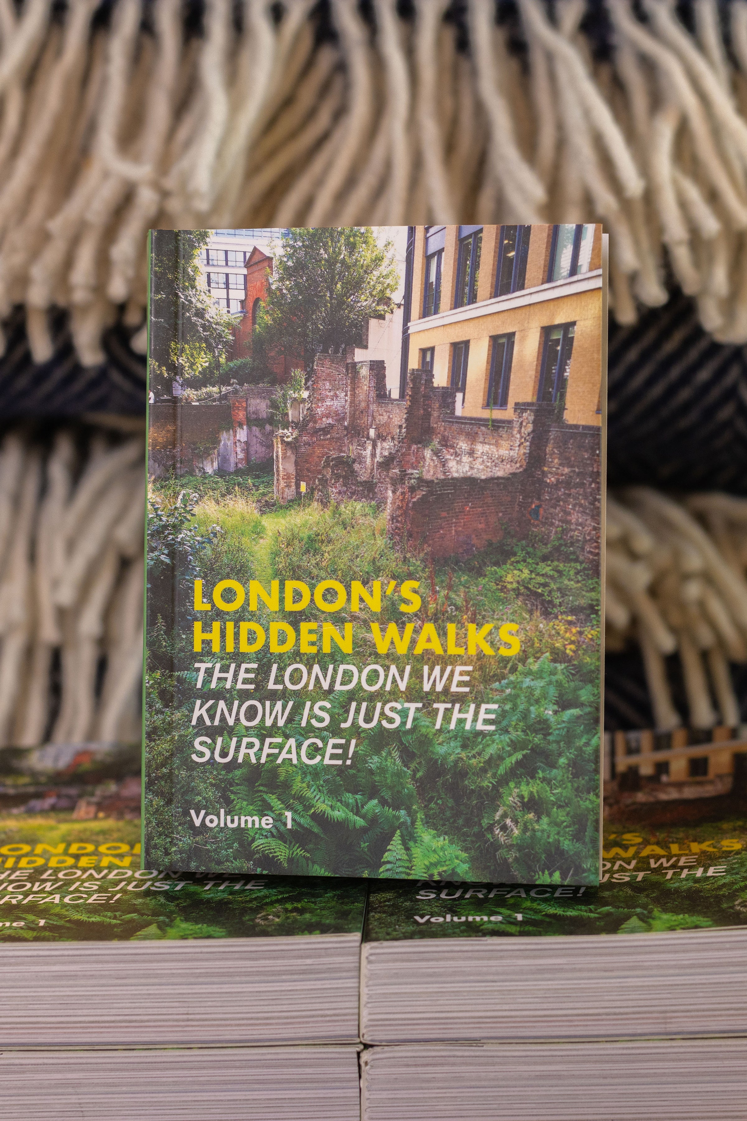 London's Hidden Walks: Volume 1