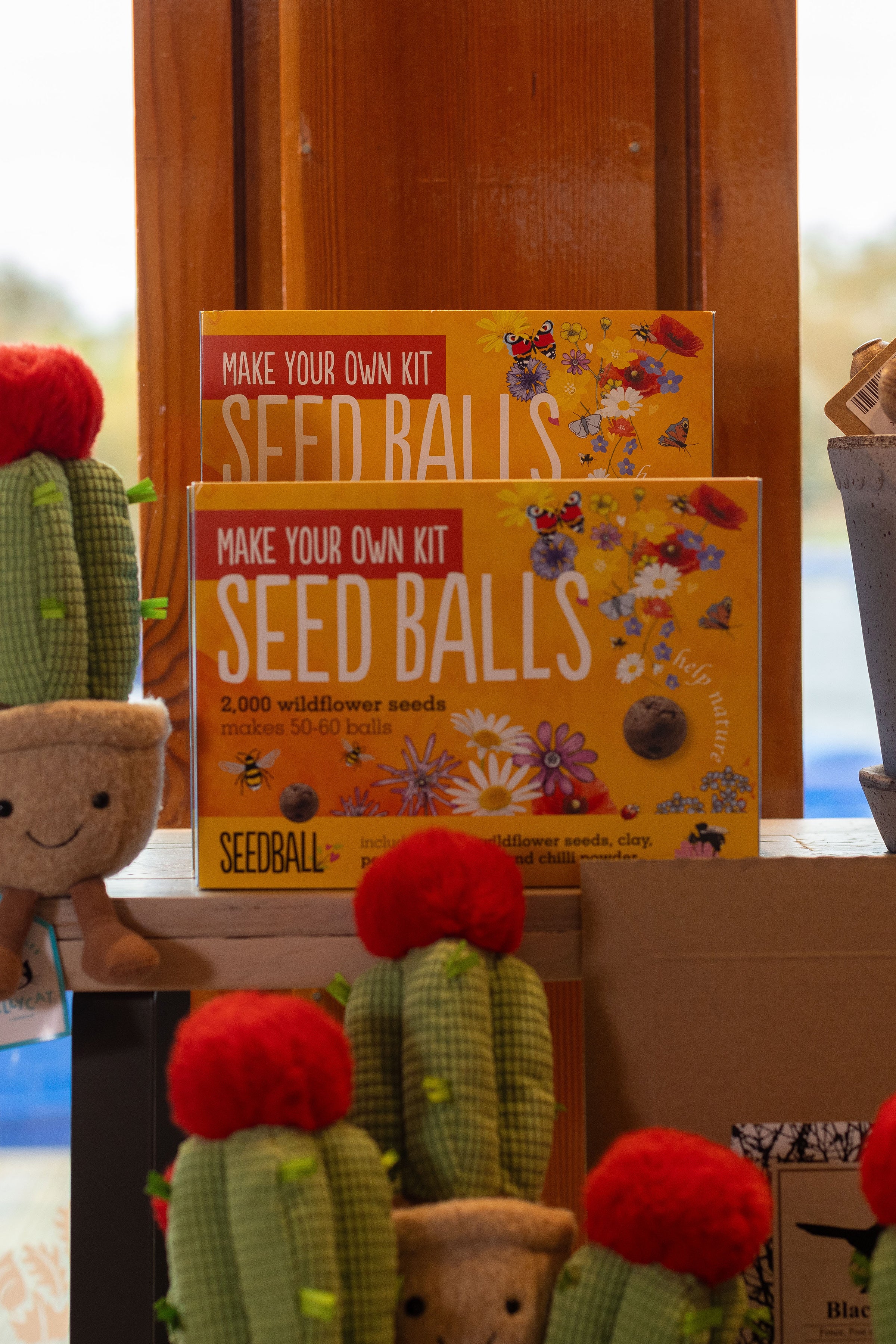 Make Your Own Wildflower Seedballs Kit