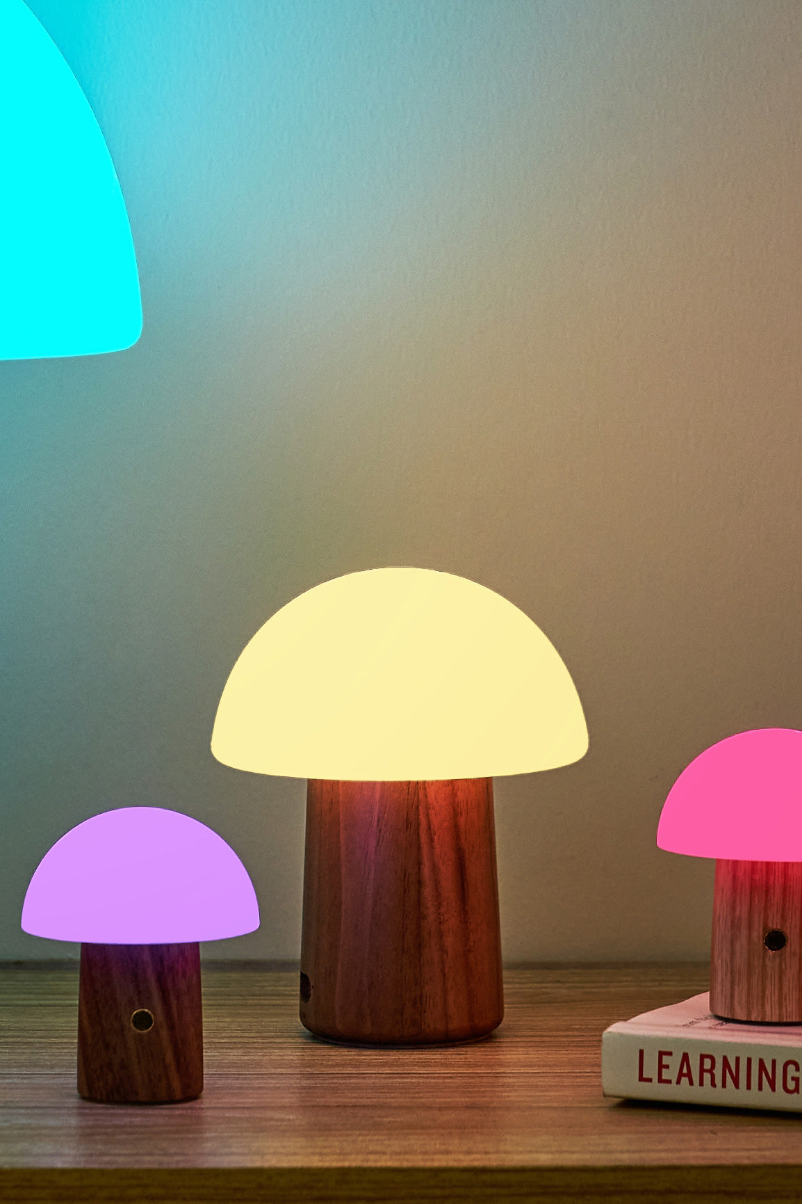 Medium Walnut Wood Mushroom Lamp