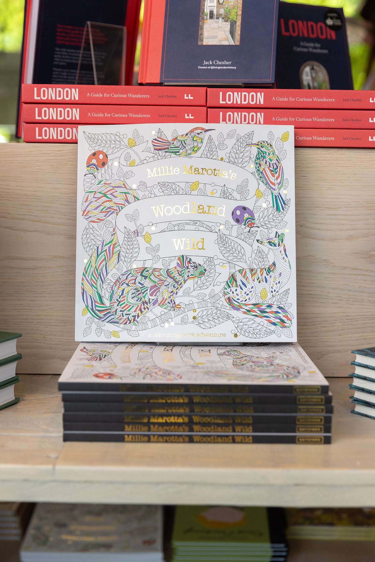 Millie Marotta's Woodland Wild: A Colouring Book Adventure